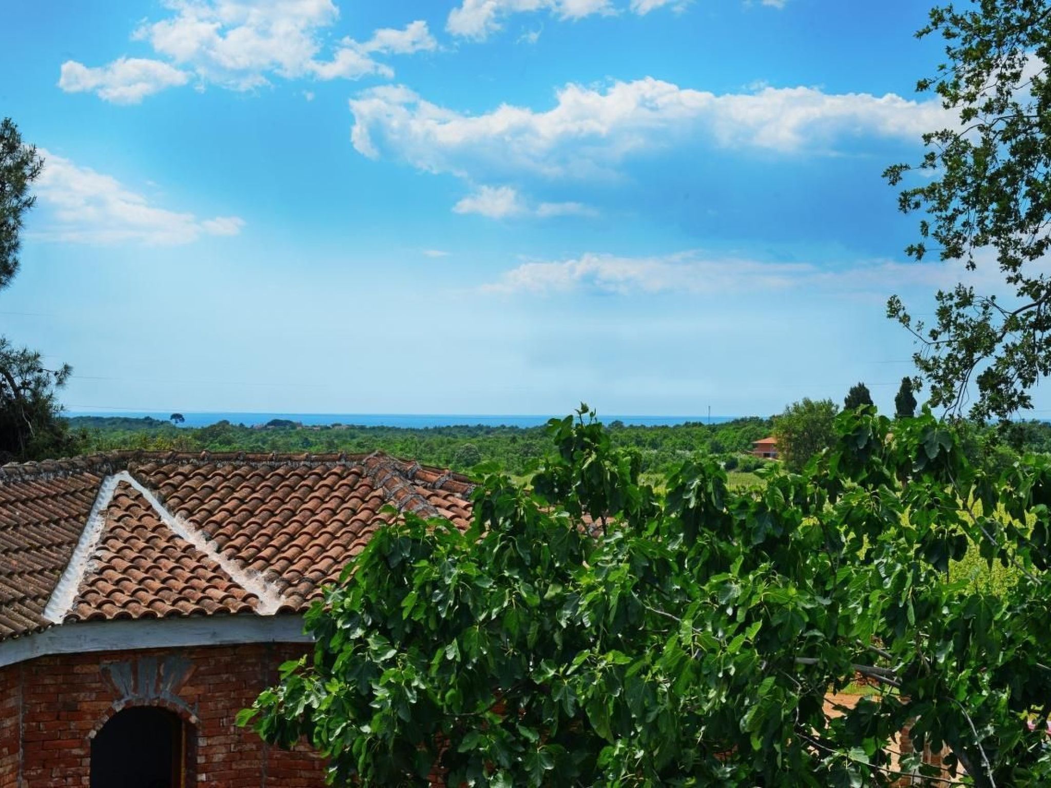 Villa mit Meerblick-Image-tags.info