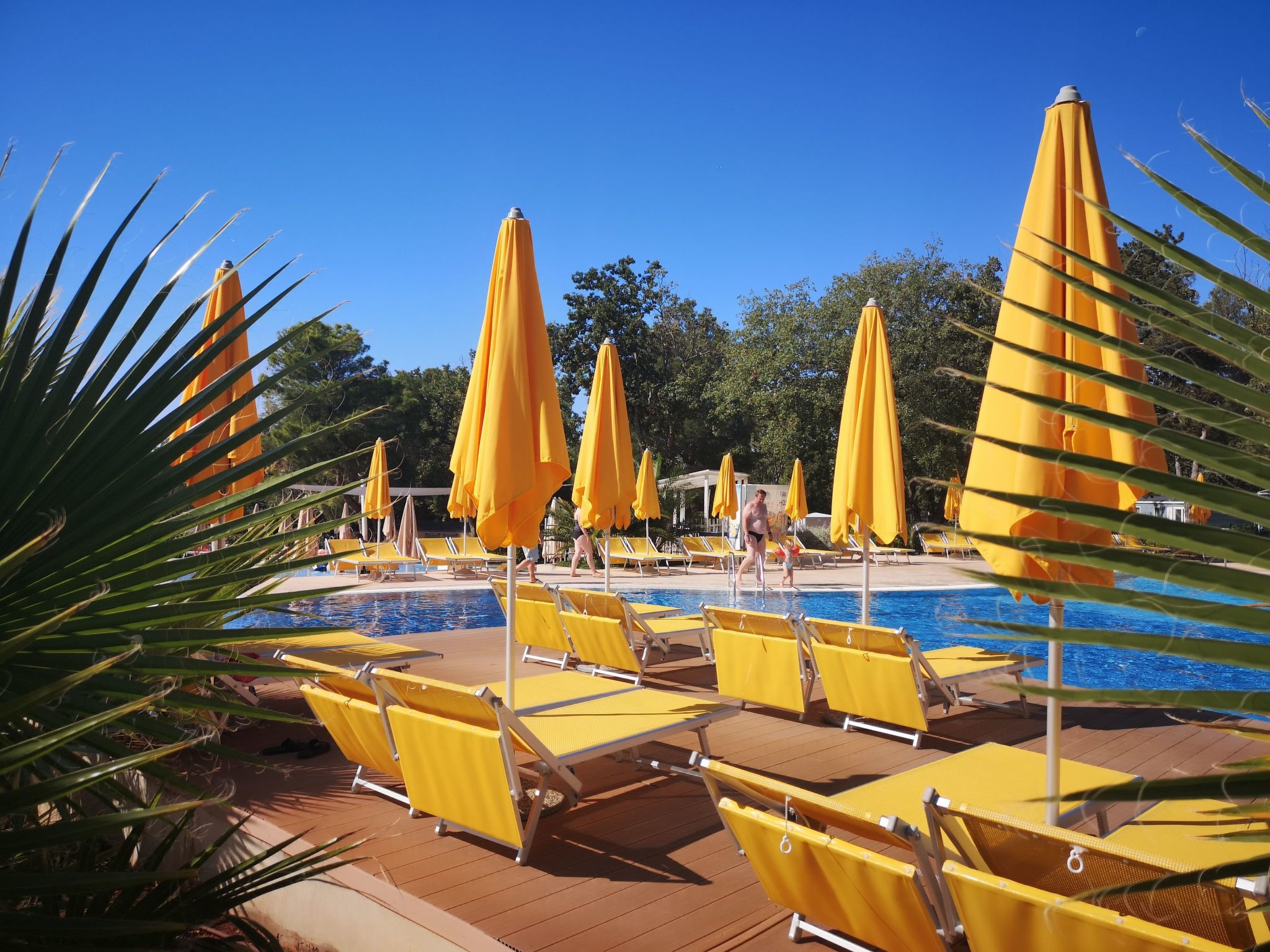 Mobilheim "Westküste"-Dehors