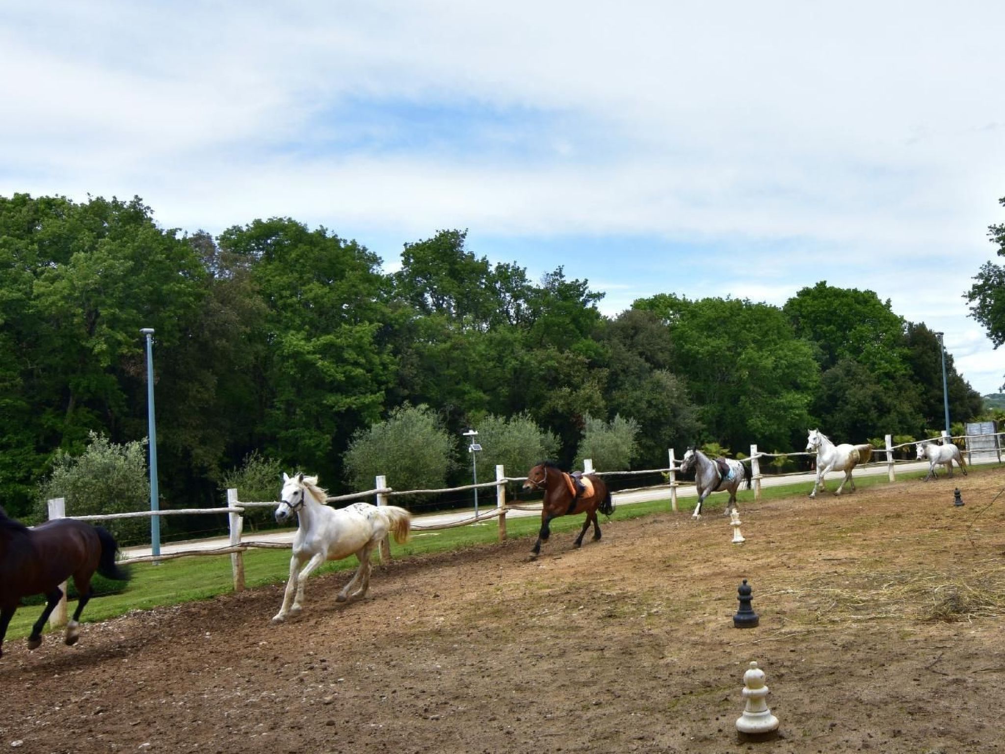 Noa 2 Tar-Image-tags.info