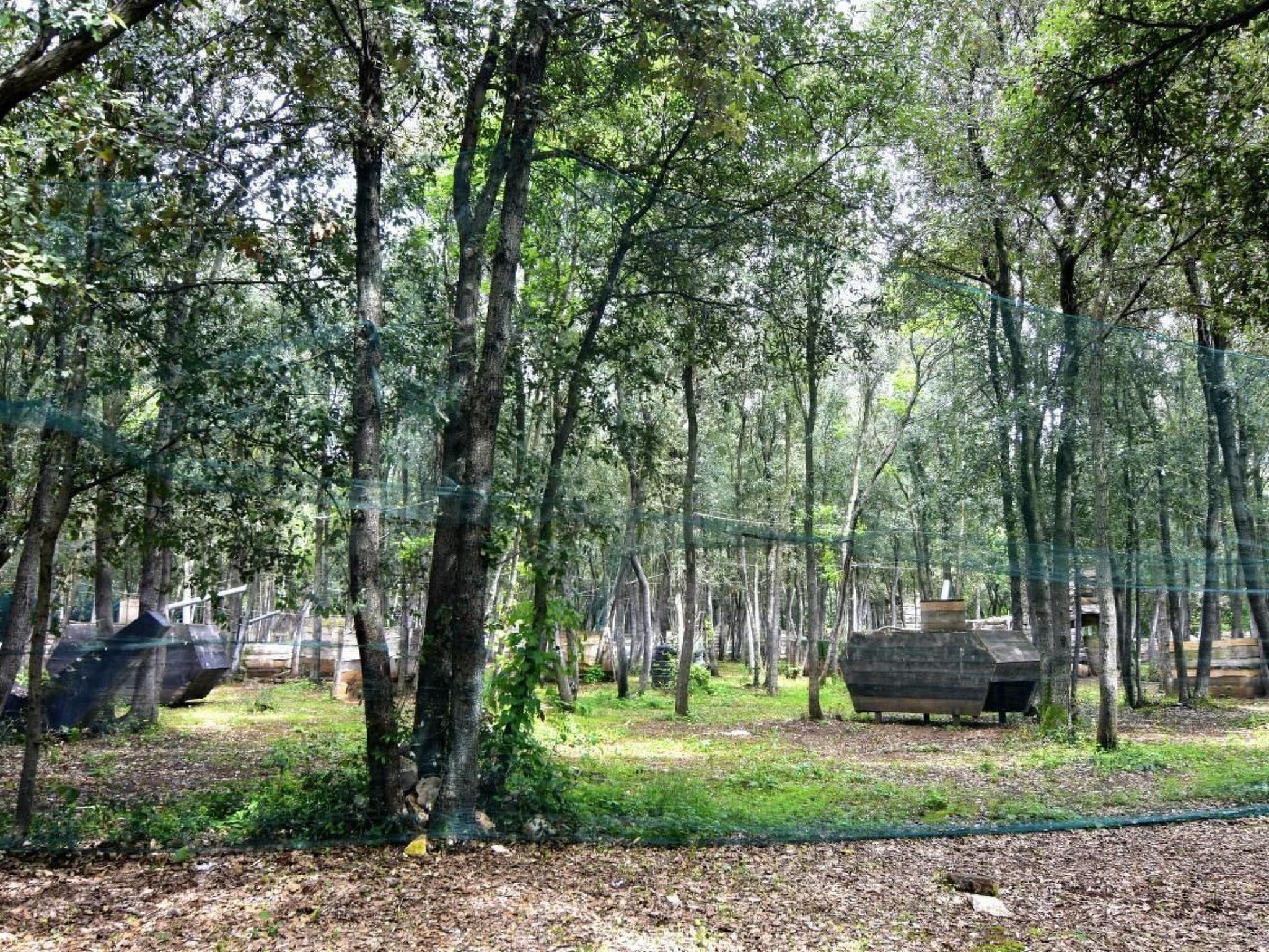 FIORELA 2-Image-tags.info