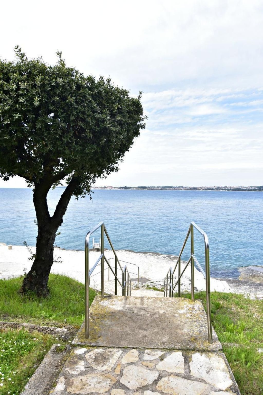 FIORELA 2-Image-tags.info