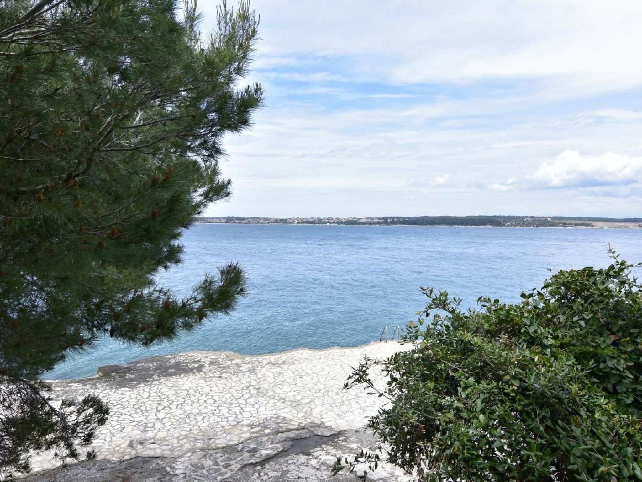 FIORELA 2-Image-tags.info