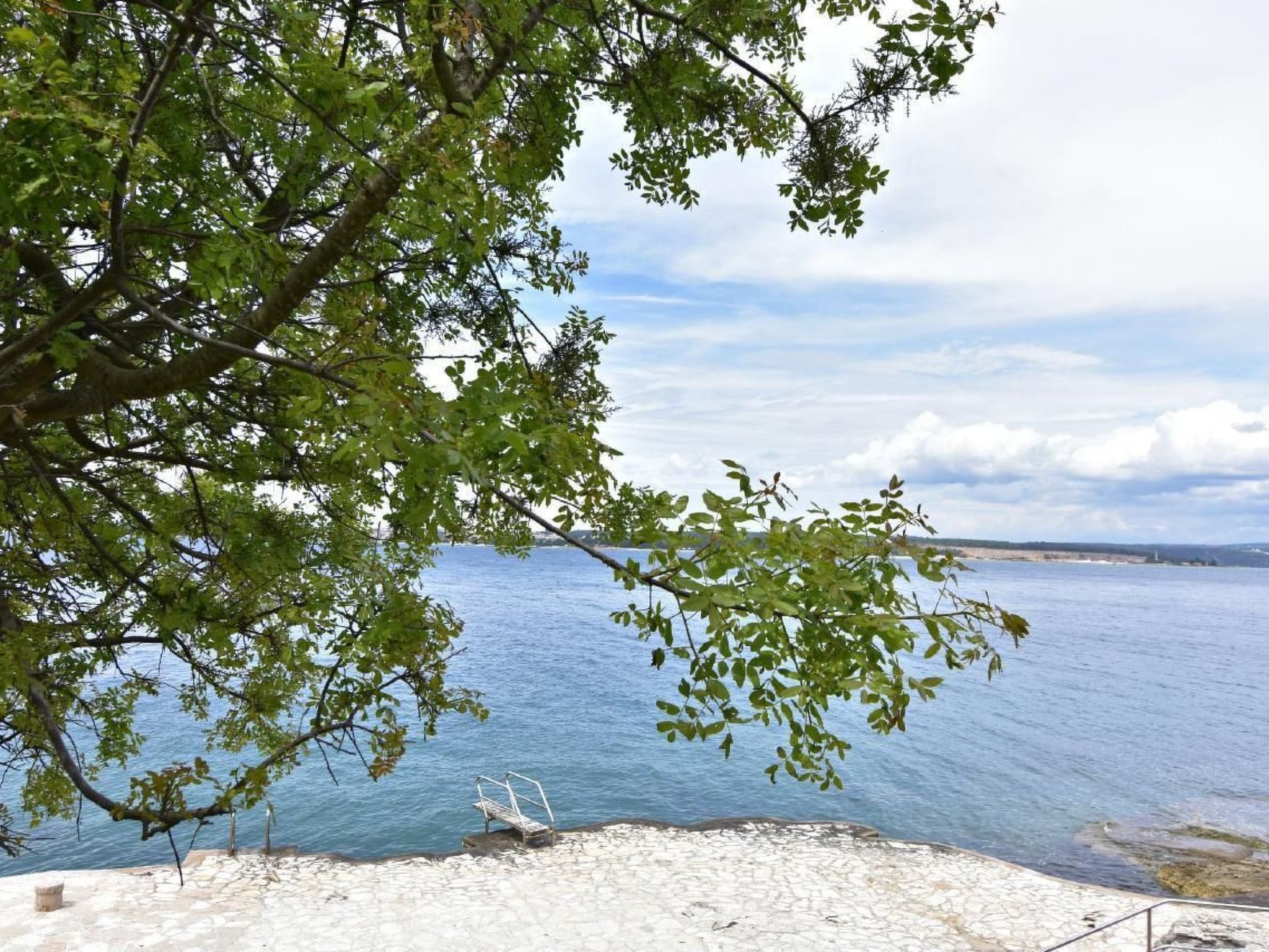 Noemi3-Image-tags.info