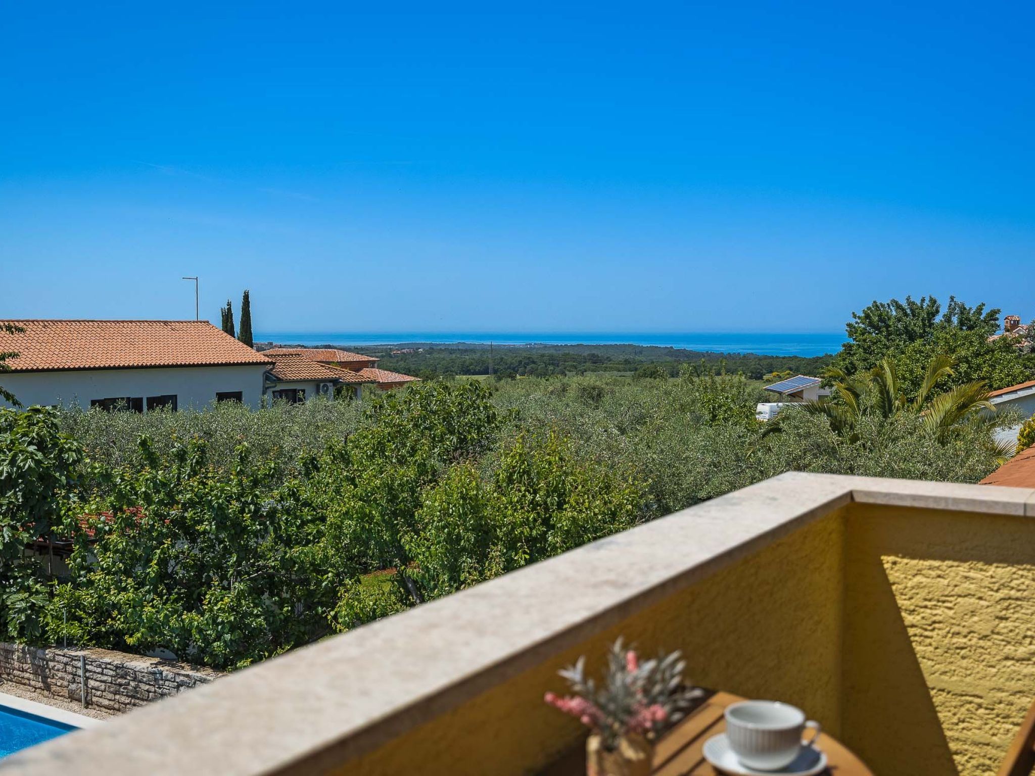 'Lara-Image-tags.info