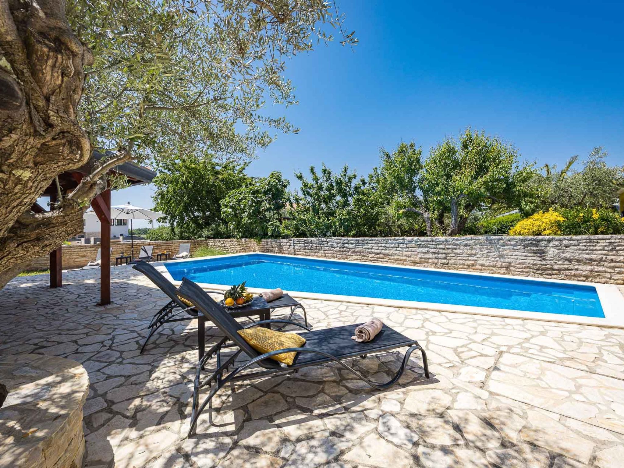 'Lara-Image-tags.info