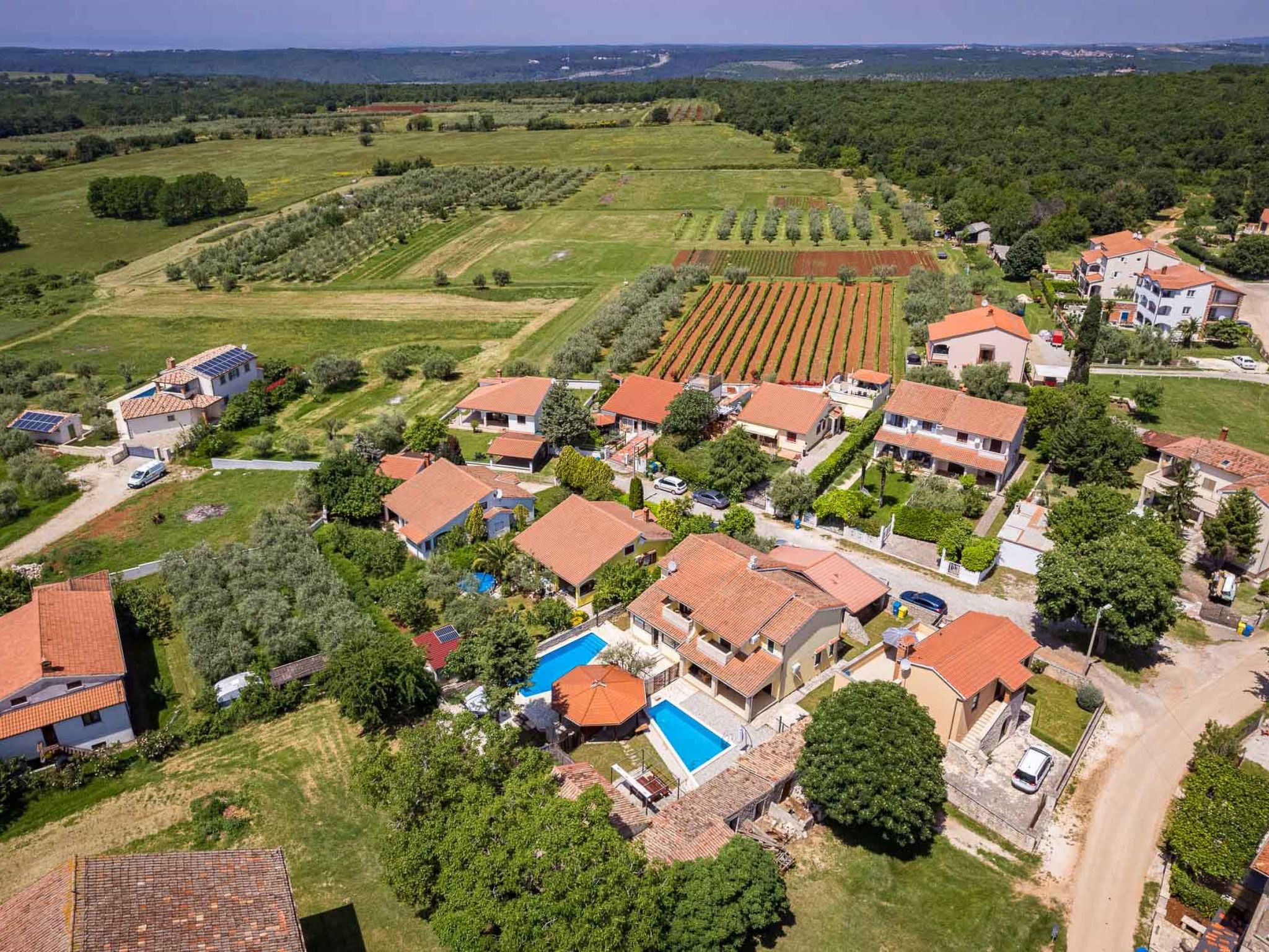 'Lara-Image-tags.info