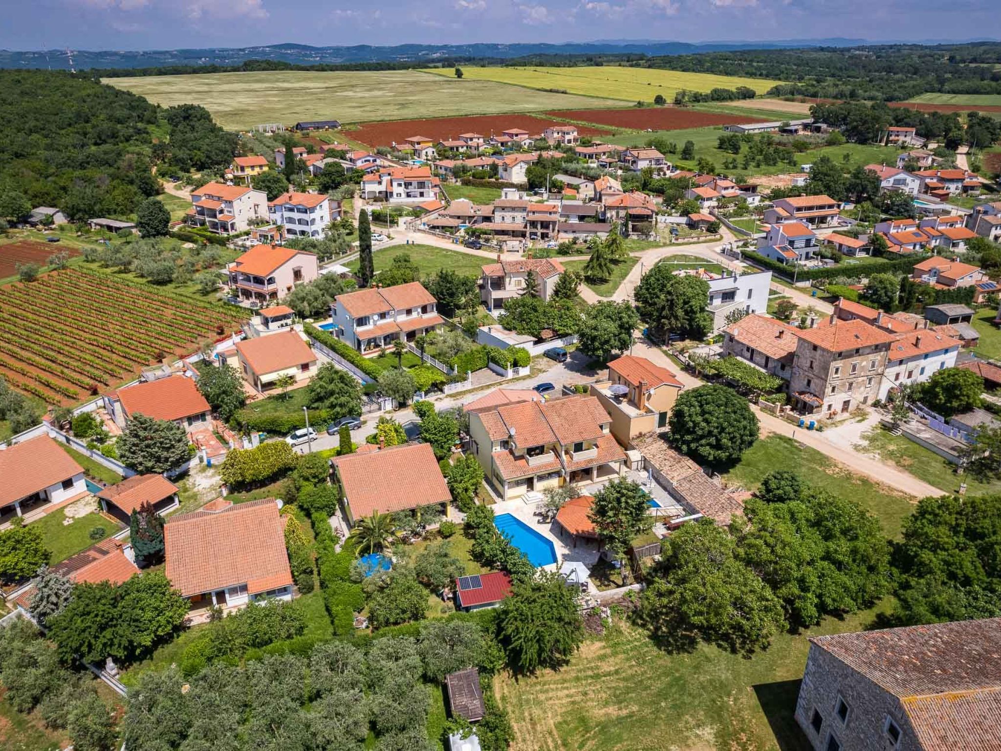 'Lara-Image-tags.info