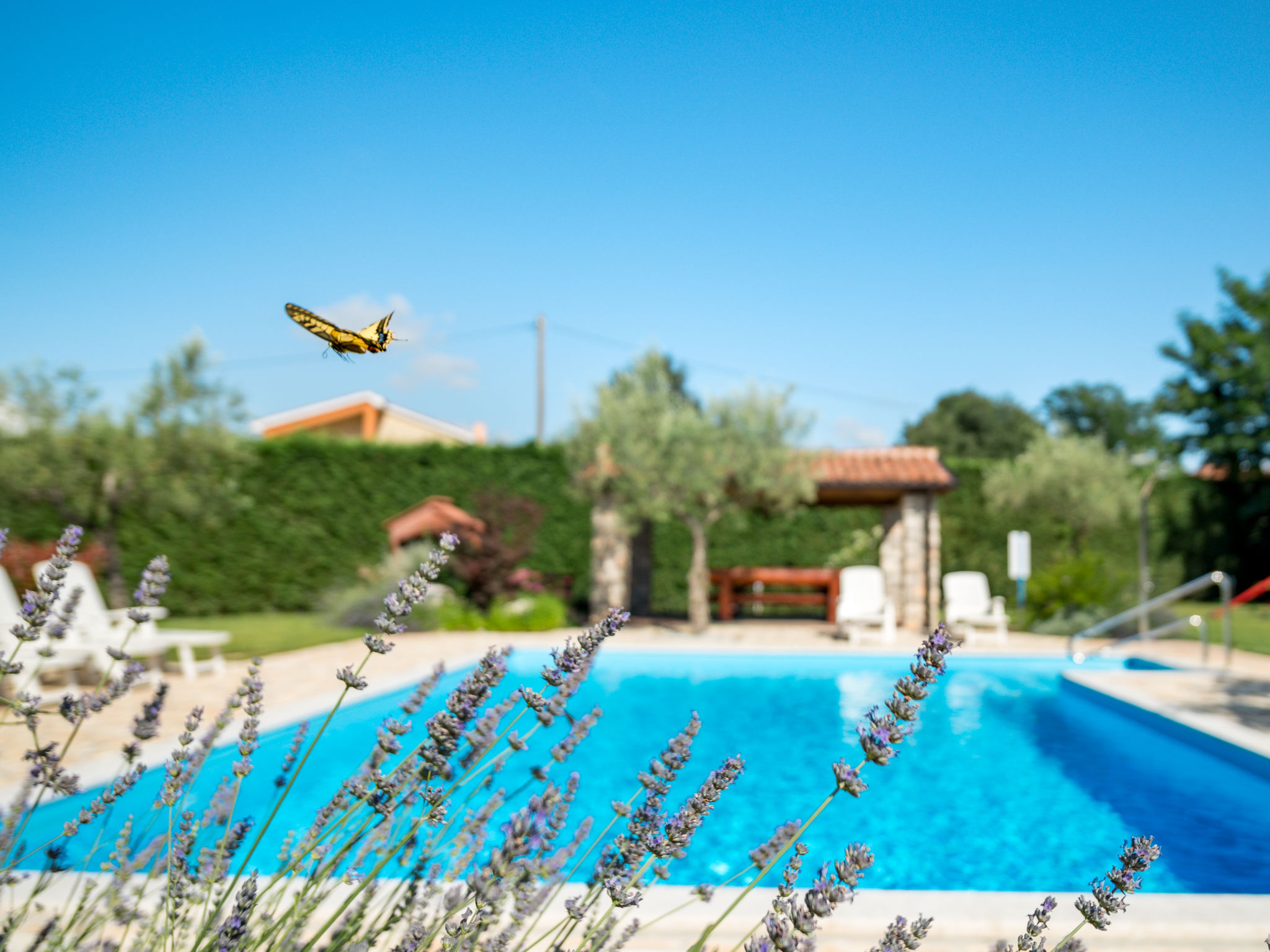 Knus appartement Fiore nabij Poreč met zwembad en tuin - foto 14