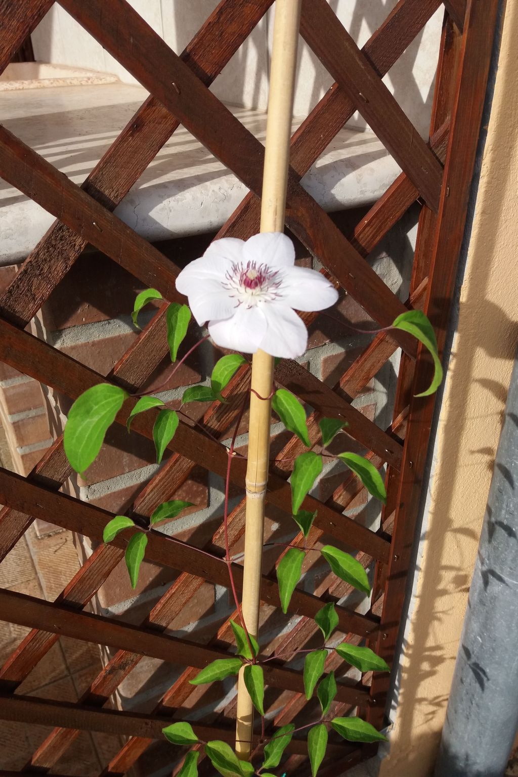 Haus Mirelia für zwei Personen mit Garten-Dedans