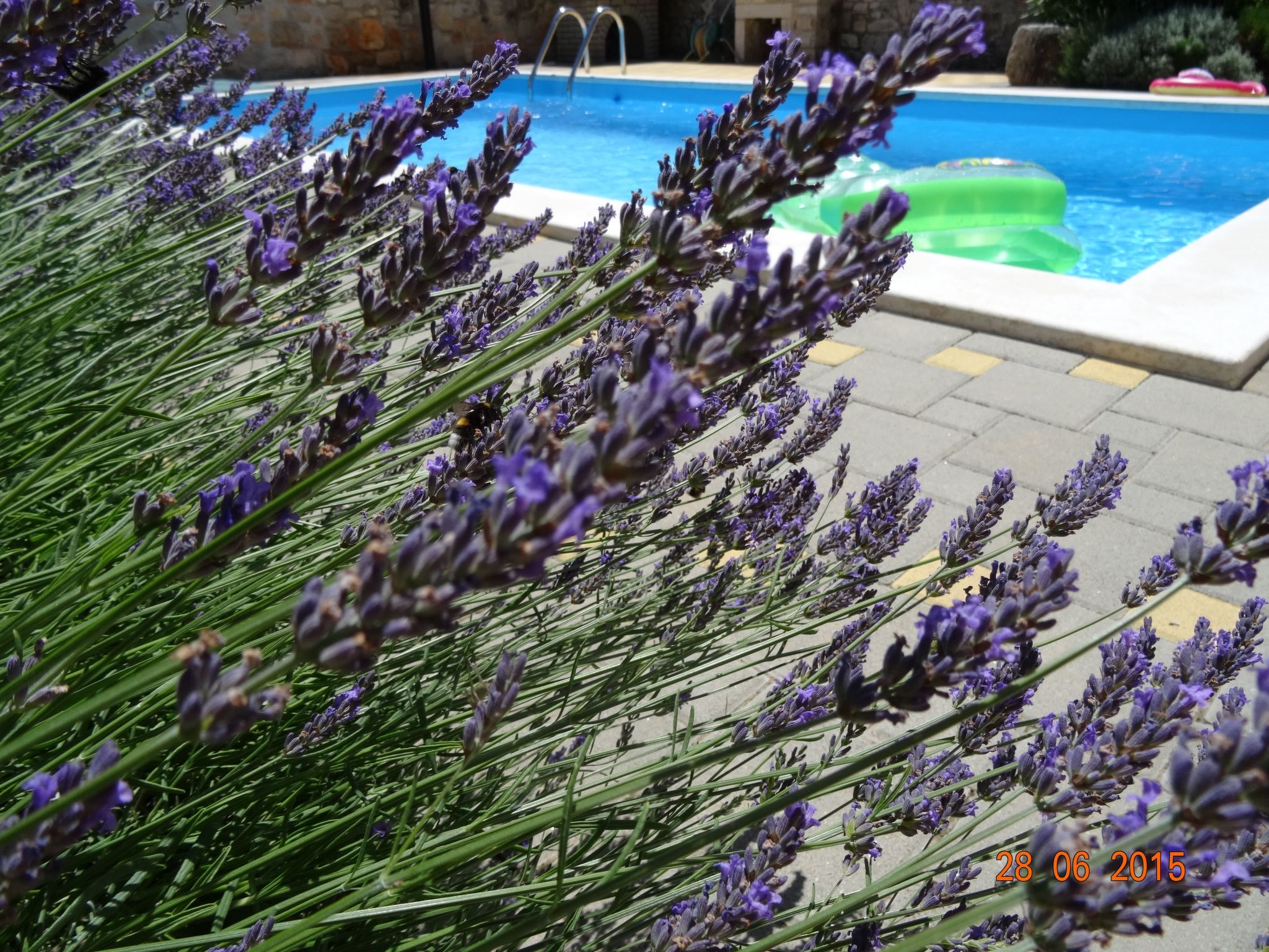 Mit Privatpool für 6 Personen ca. 107 m&sup2; in Cehici, Istrien (Porec und Umg-Image-tags.info