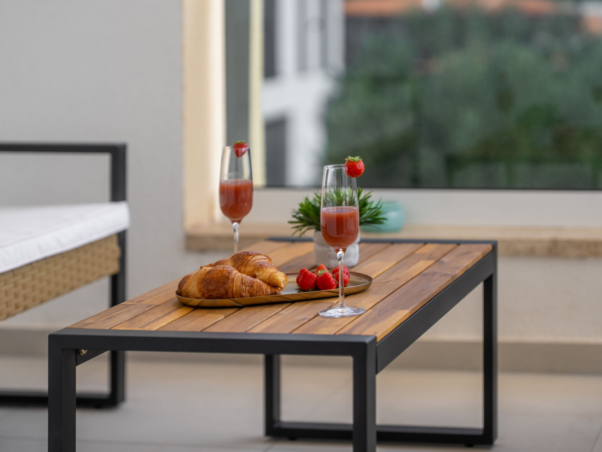 Mediterranee Oliva - Image 4