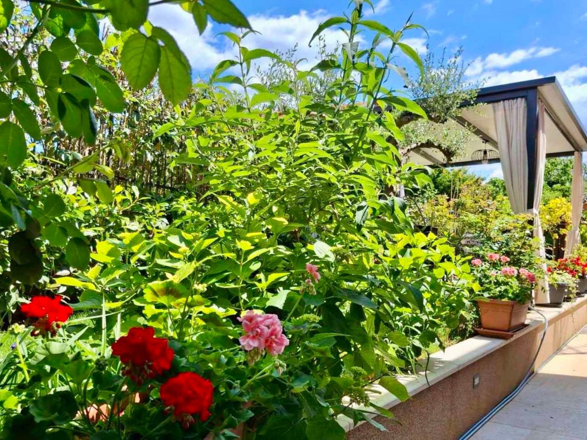 Schöne Wohnung Funtana Nr.3-Binnen