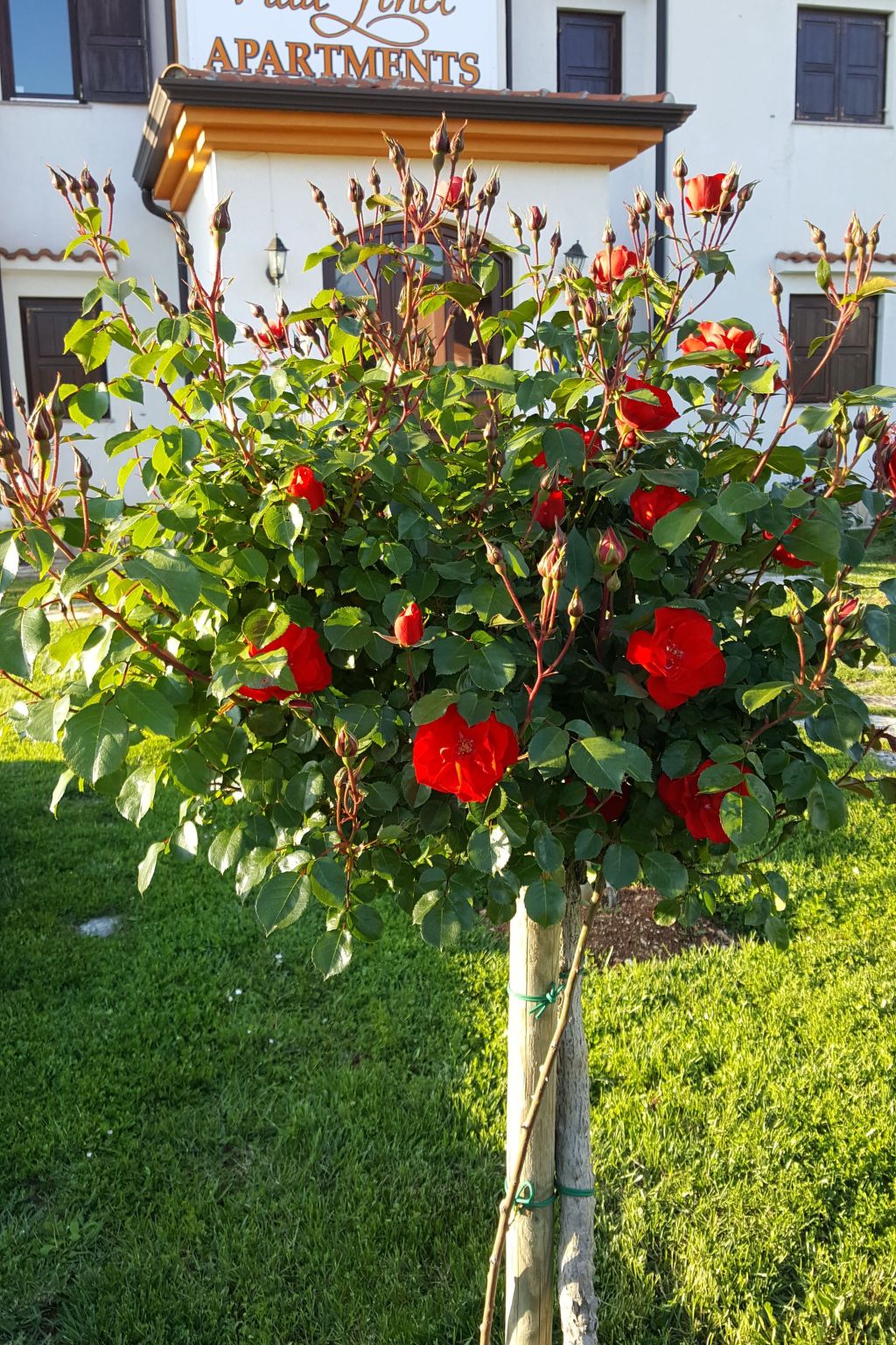 Villa Liet 9.-Drinnen