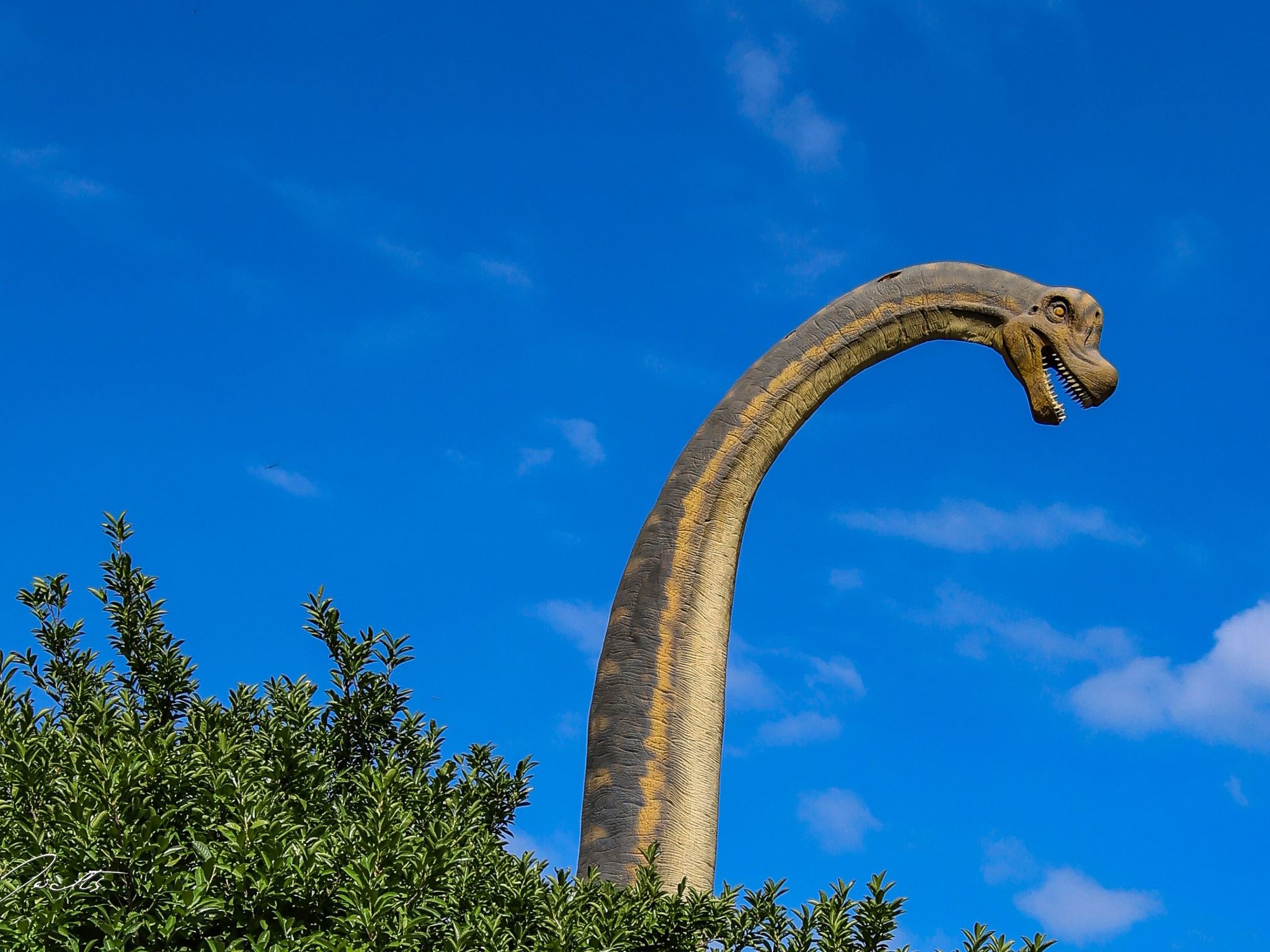 Villa Linet 5.-Drinnen