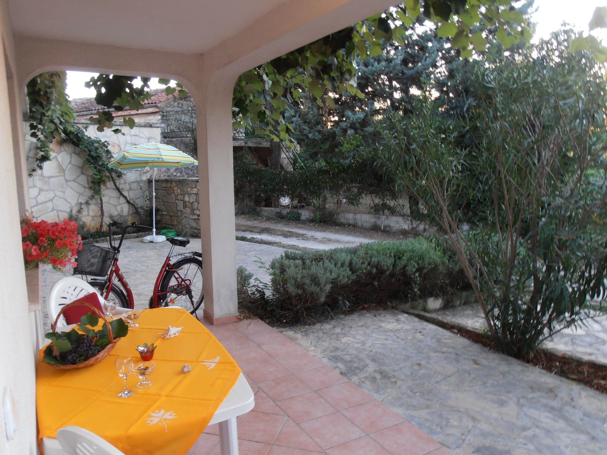 App Coki 2., - Image-tags.info