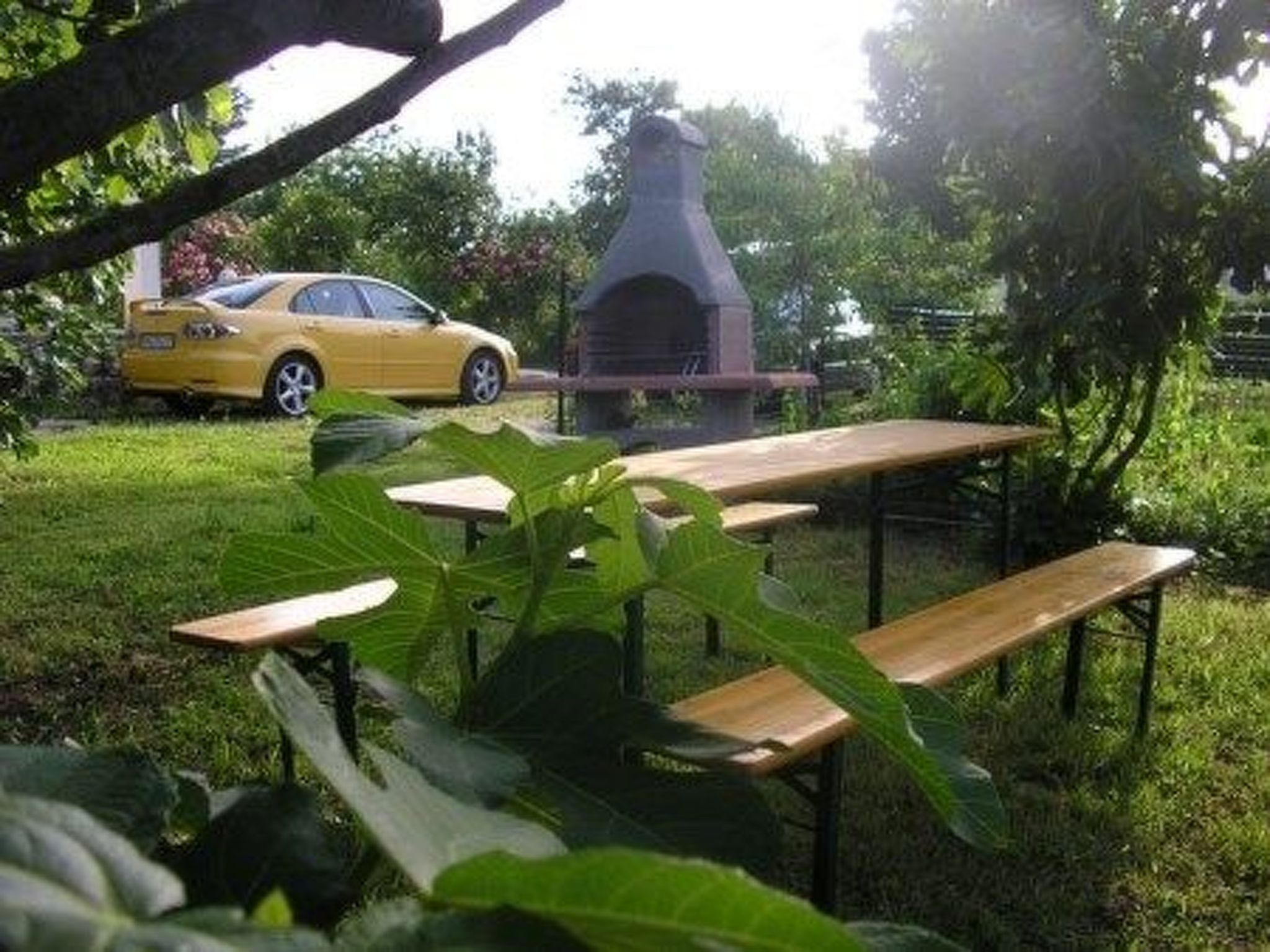 App Coki 1. - Image-tags.info