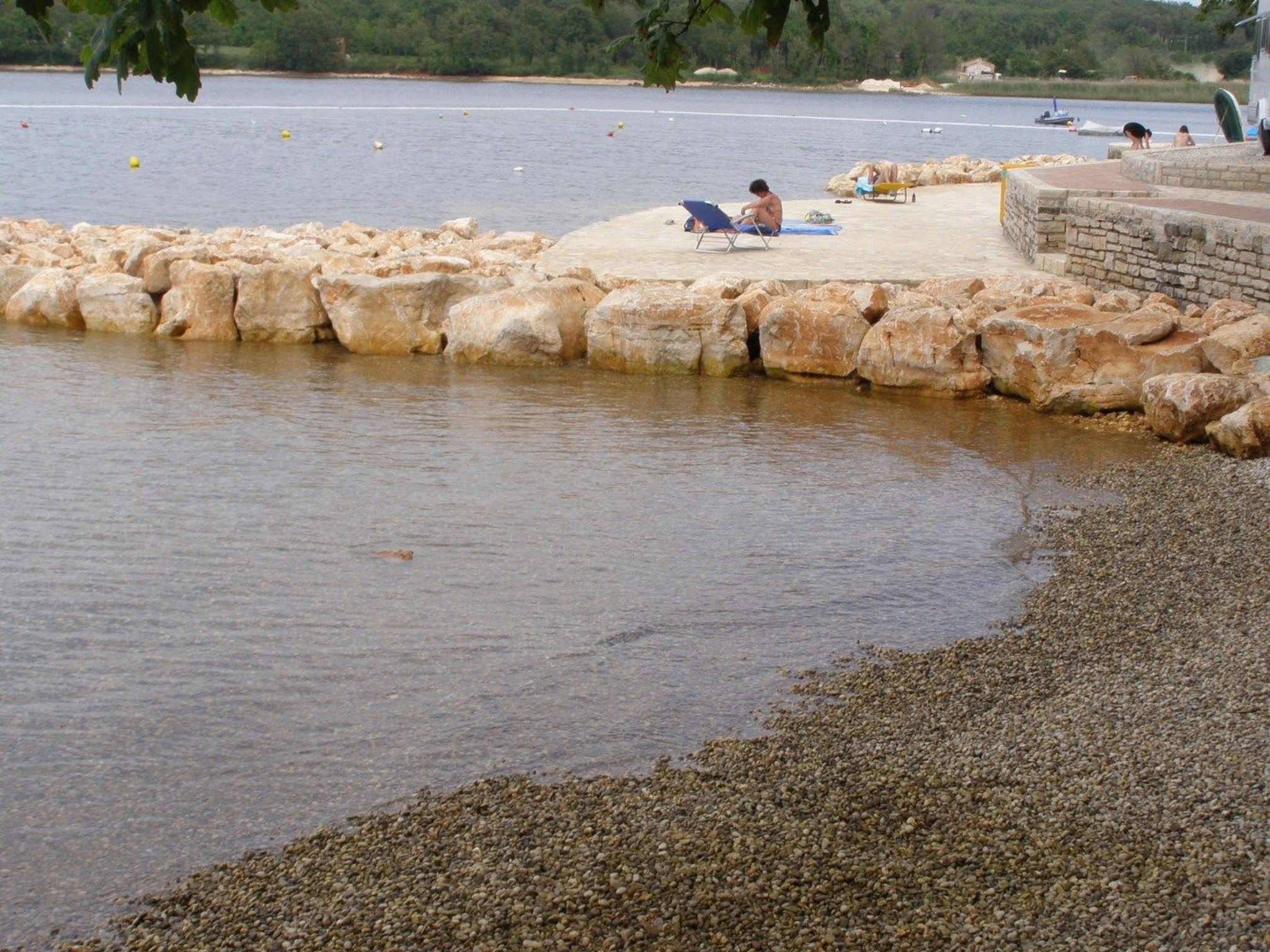 App Coki 1. - Image-tags.info