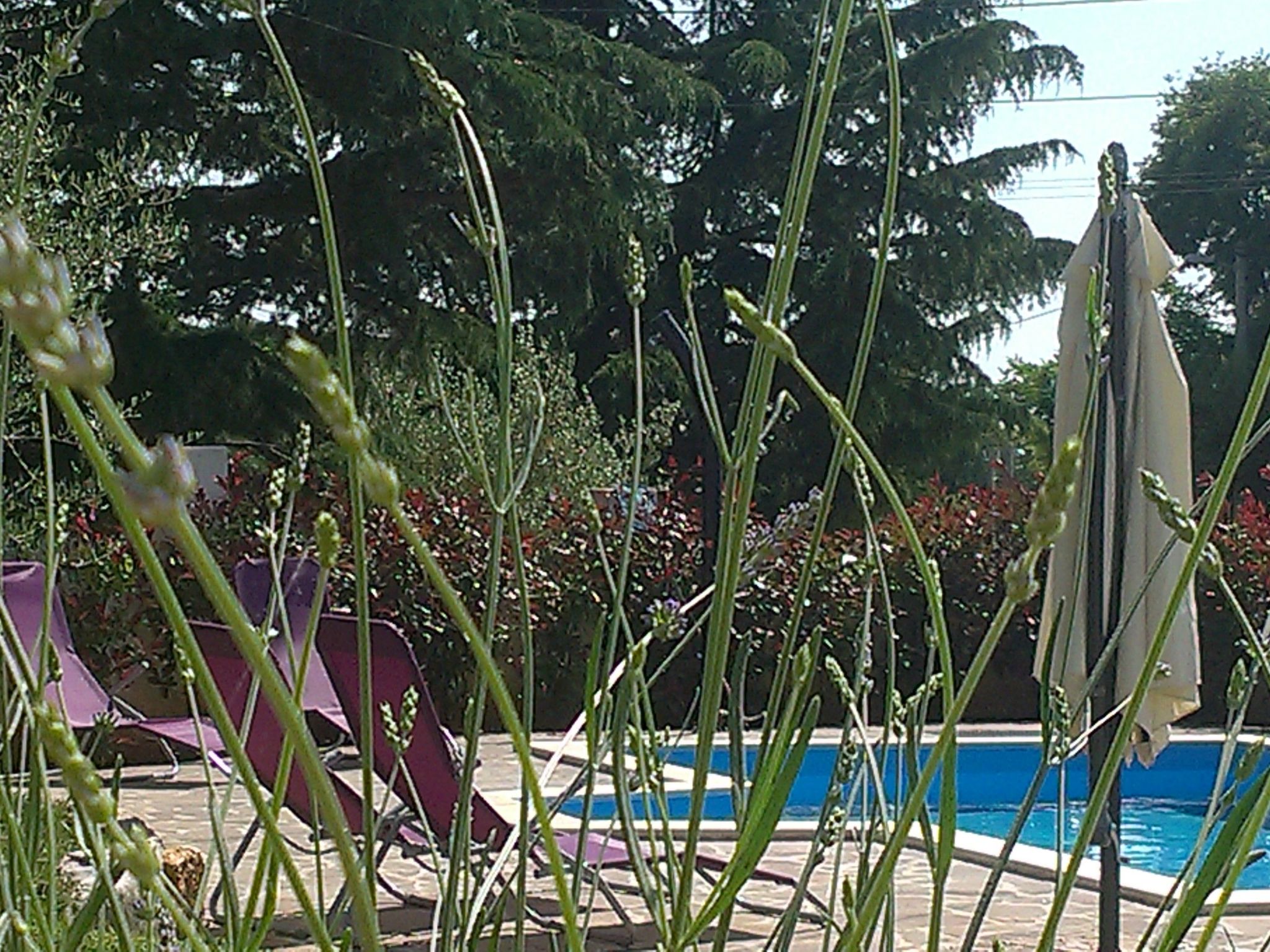 Ferienvilla "Nina" mit eigenem Pool-Binnen