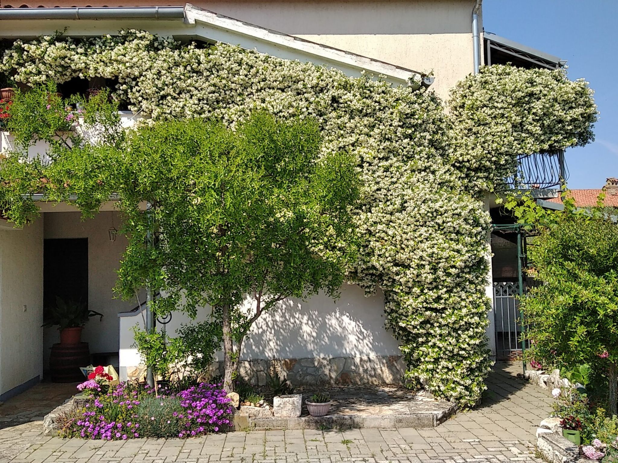 Apartment Sasa A2 / HR-11069-03