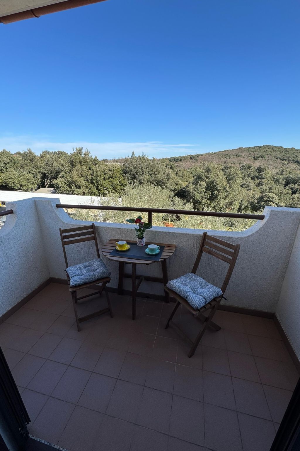 Superior Appartament-Image-tags.info