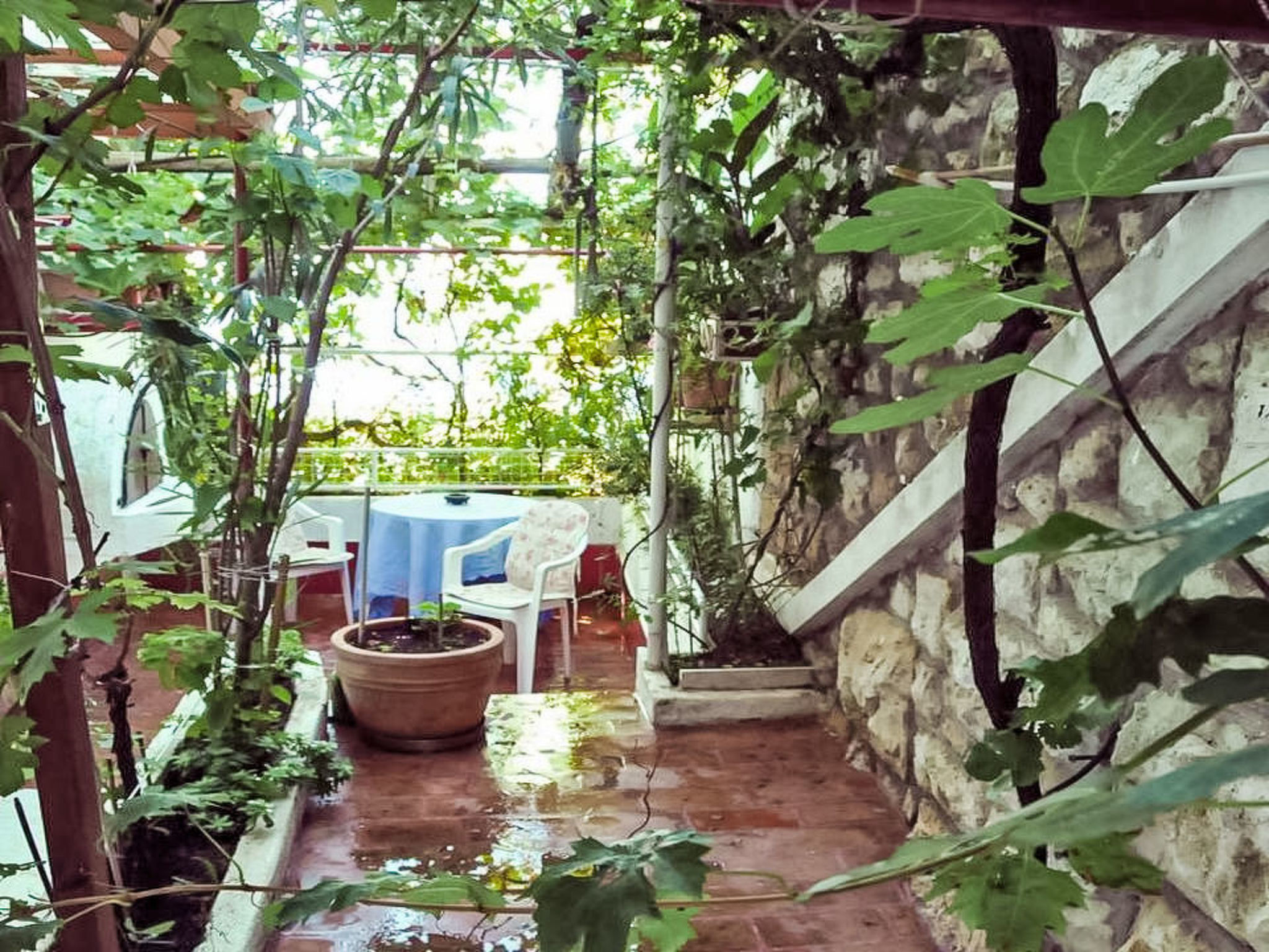 Rovinj, Magic Peninsula - Inside