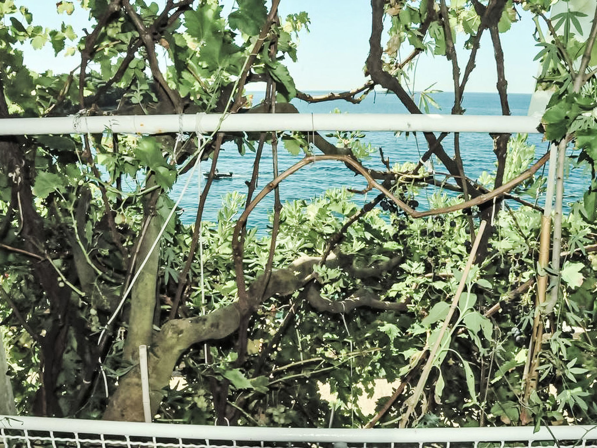 Rovinj, Magic Peninsula - Outside