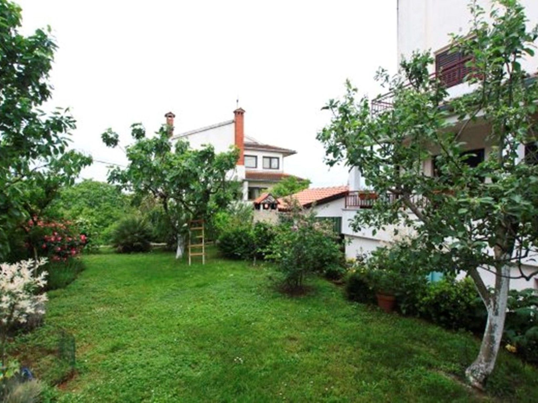 Vrančić-Image-tags.info