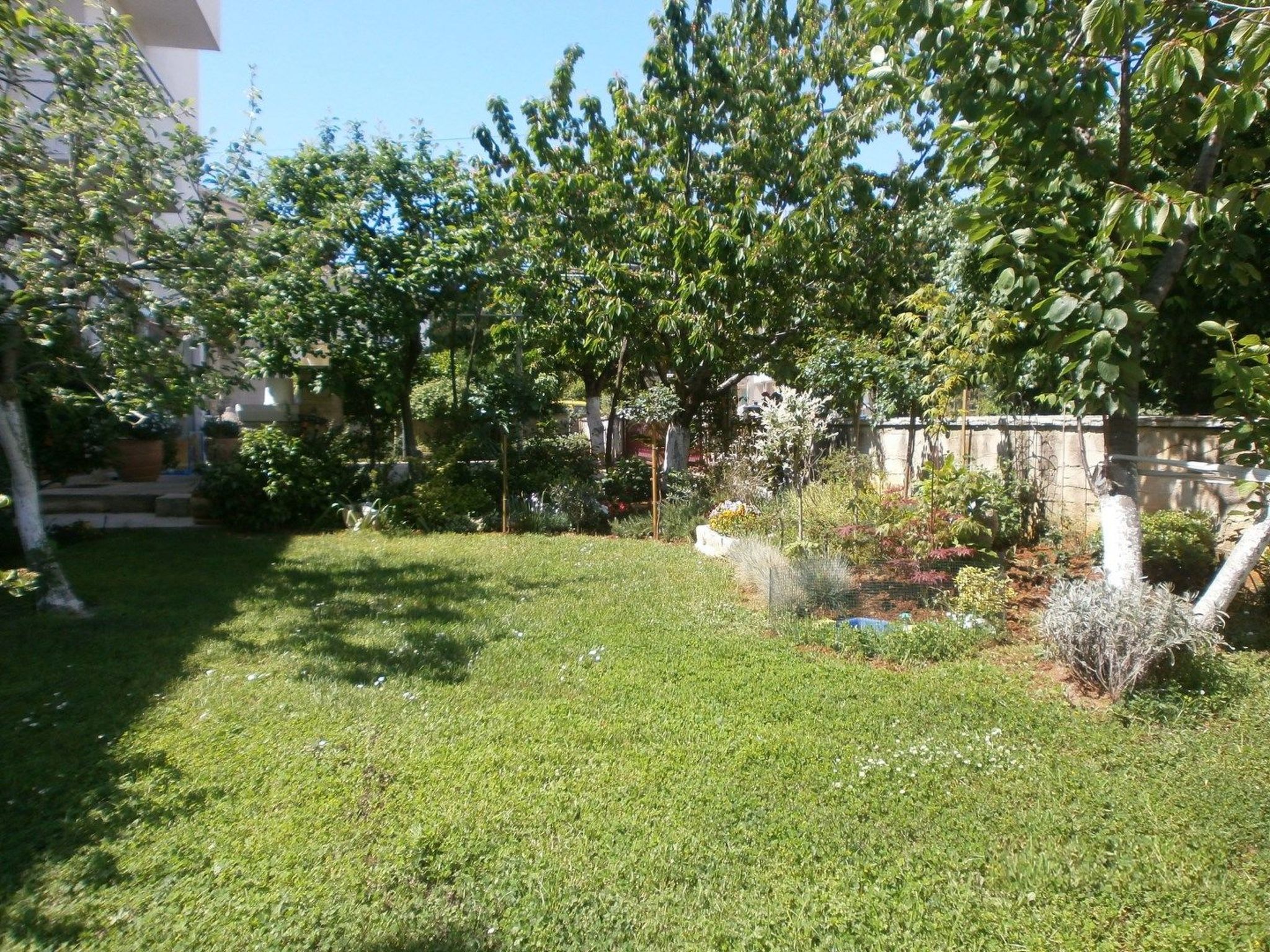 Vrančić-Image-tags.info