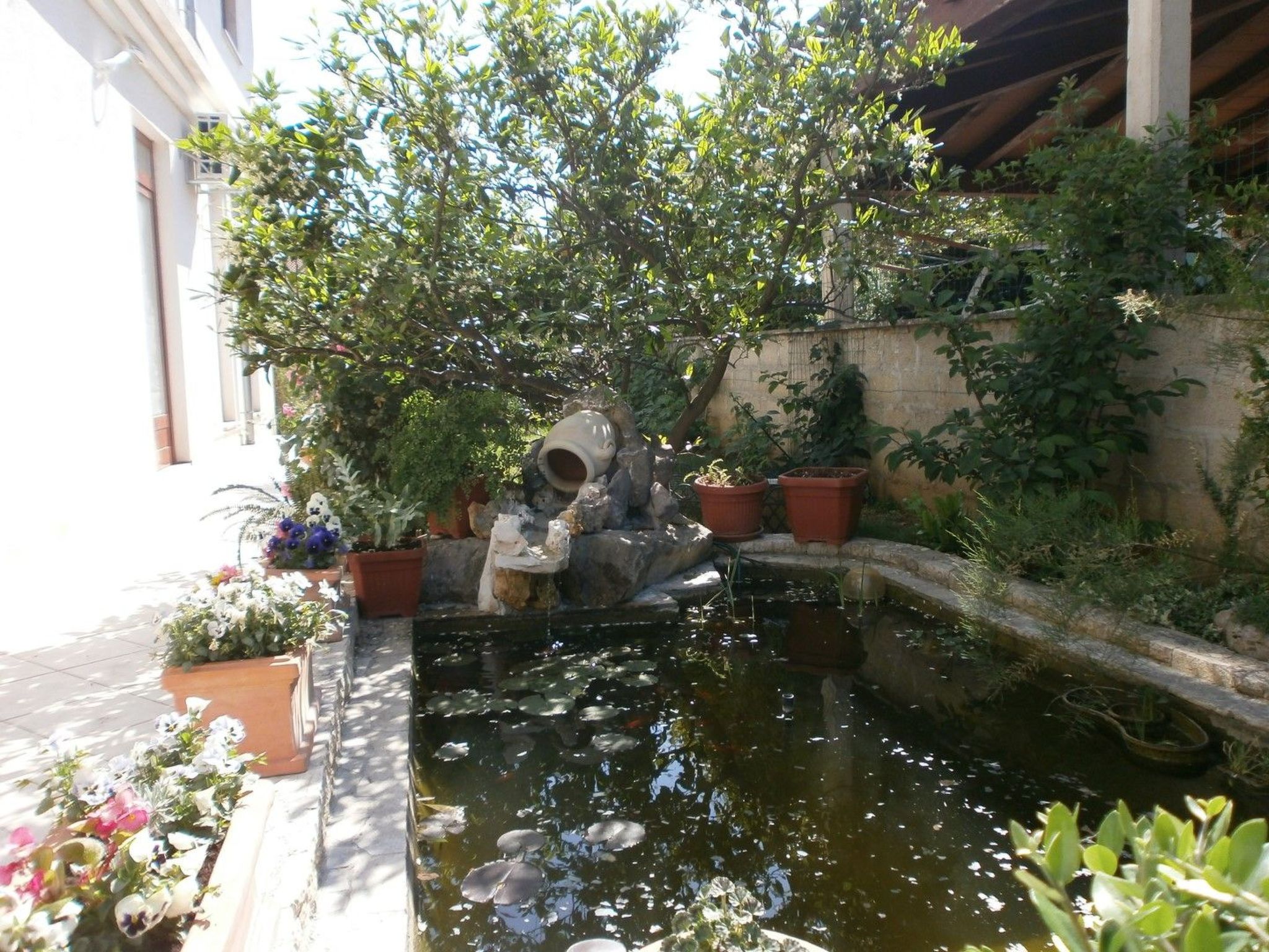 Villa Vrančić-Image-tags.info