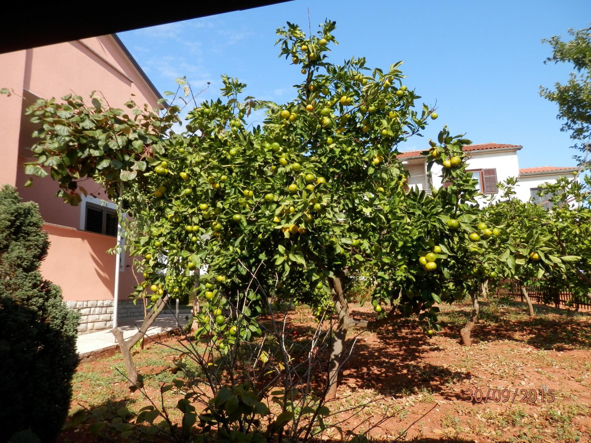 Photo of Wohnung 'Silva4' mit Wasserblick