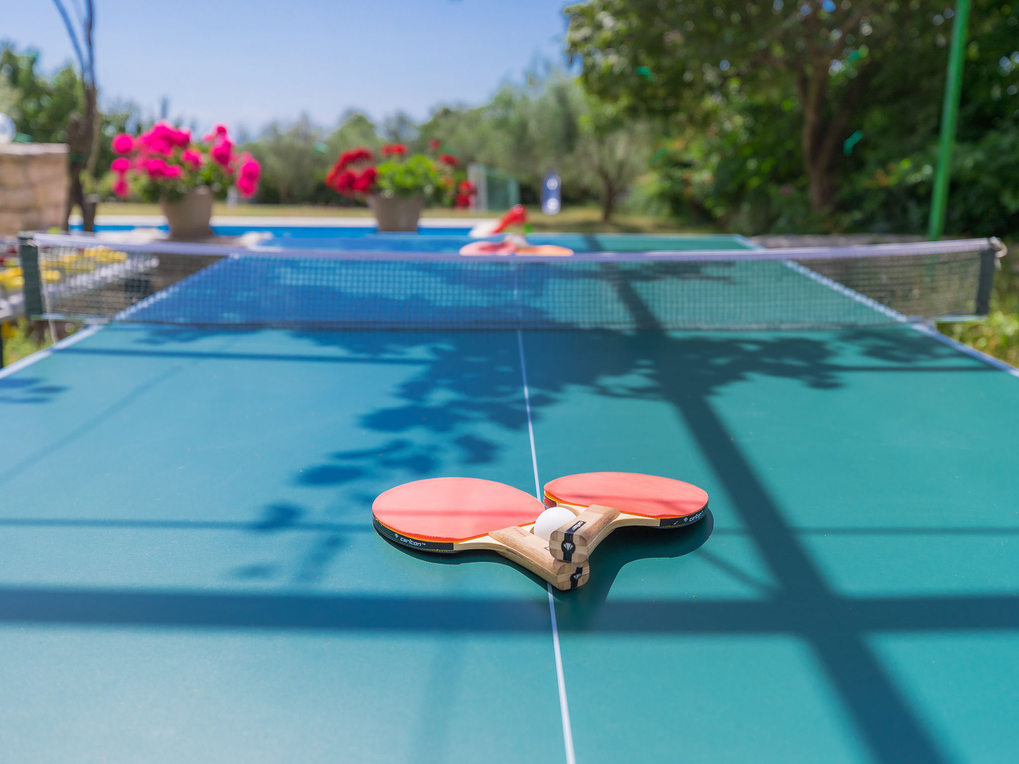 Photo of Ivan & Tina