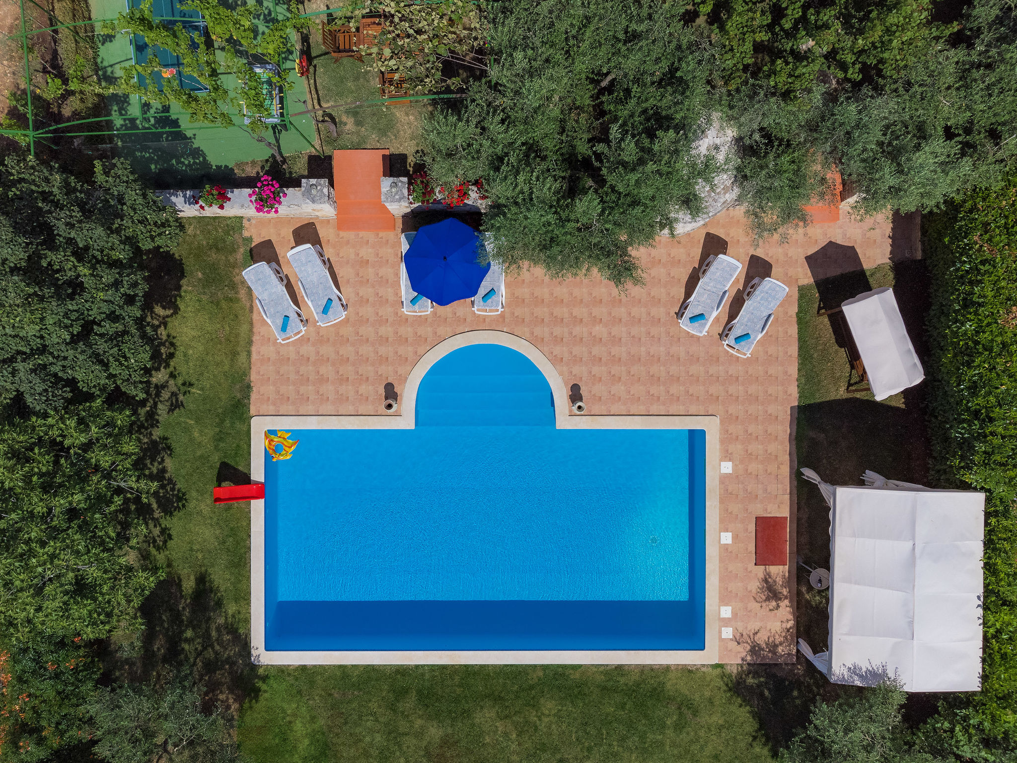 Photo of Ivan & Tina