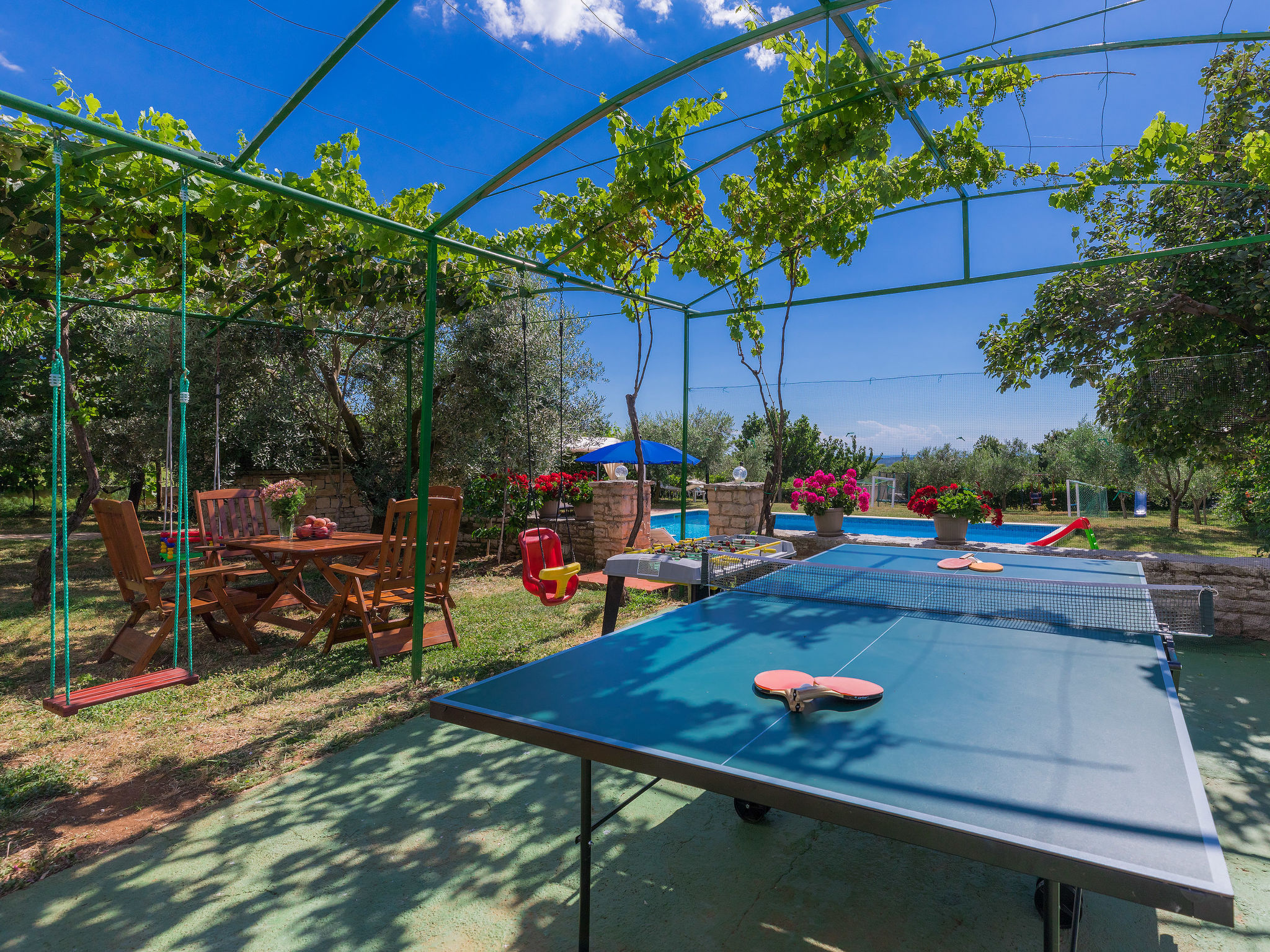 Photo of Ivan & Tina