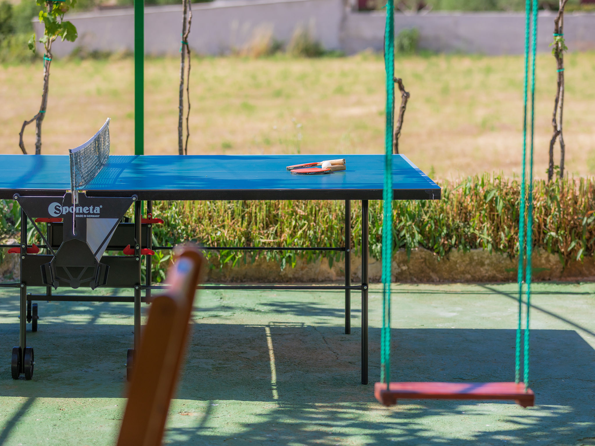 Photo of Ivan & Tina