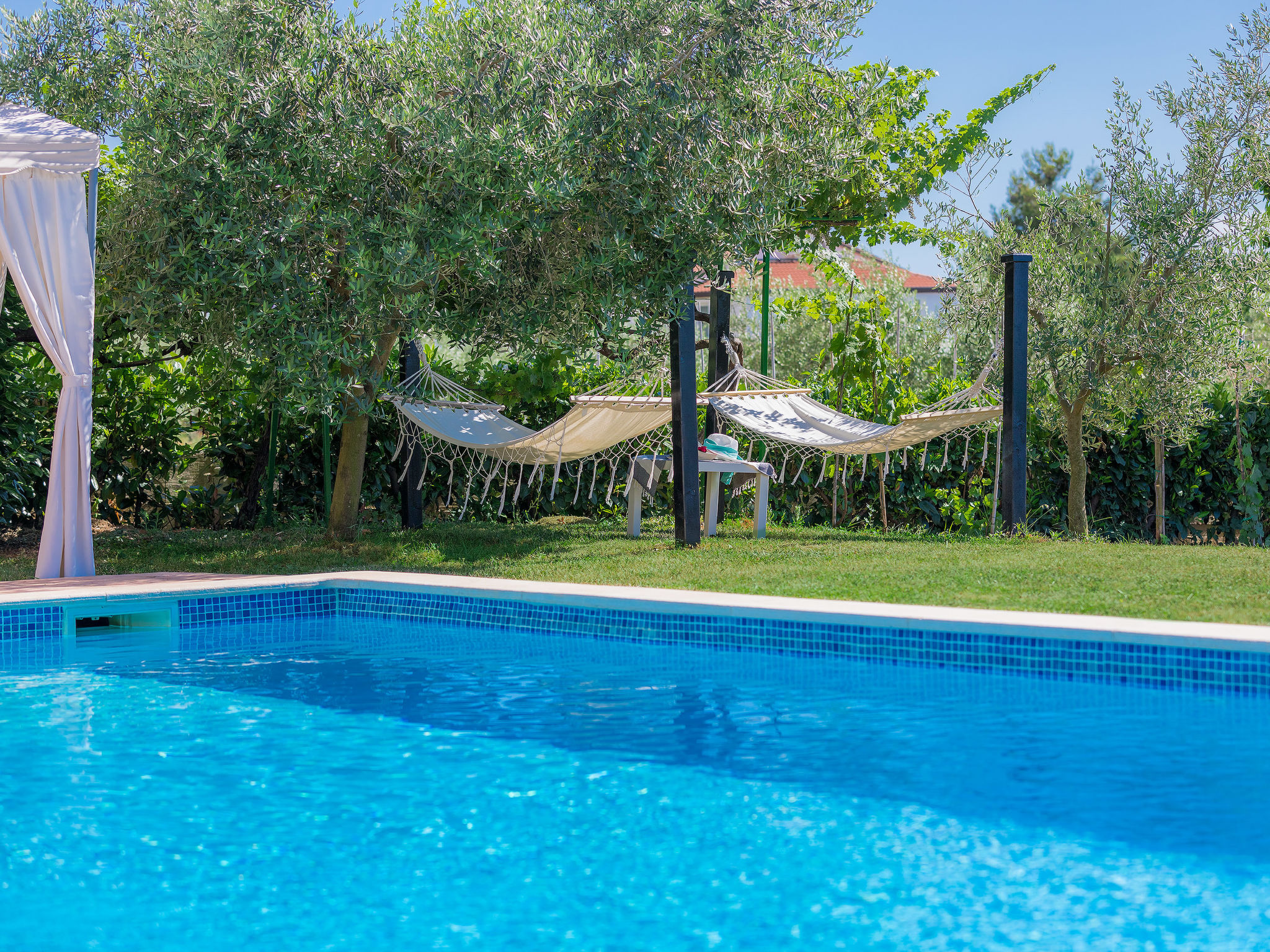 Photo of Ivan & Tina