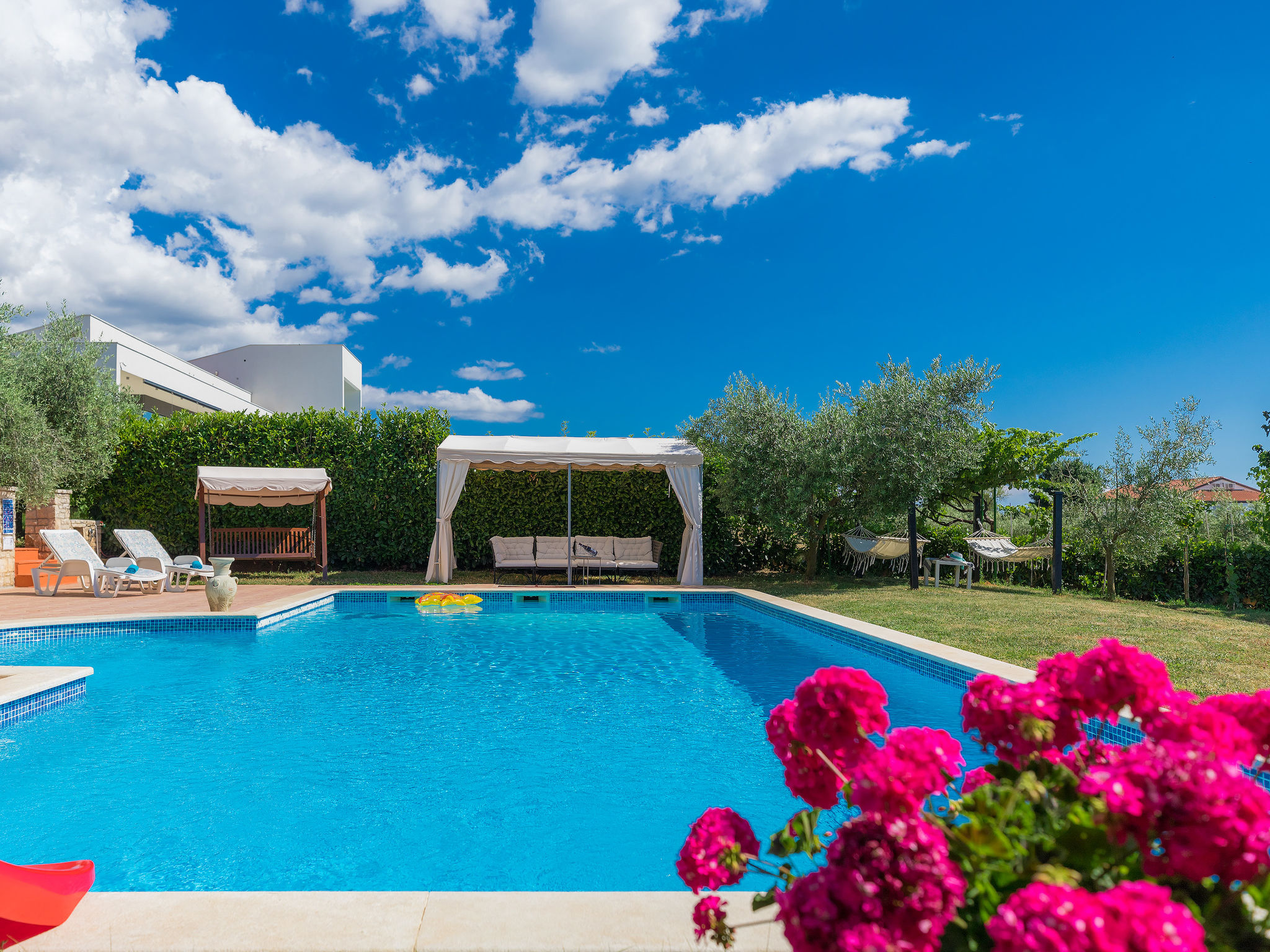 Photo of Ivan & Tina