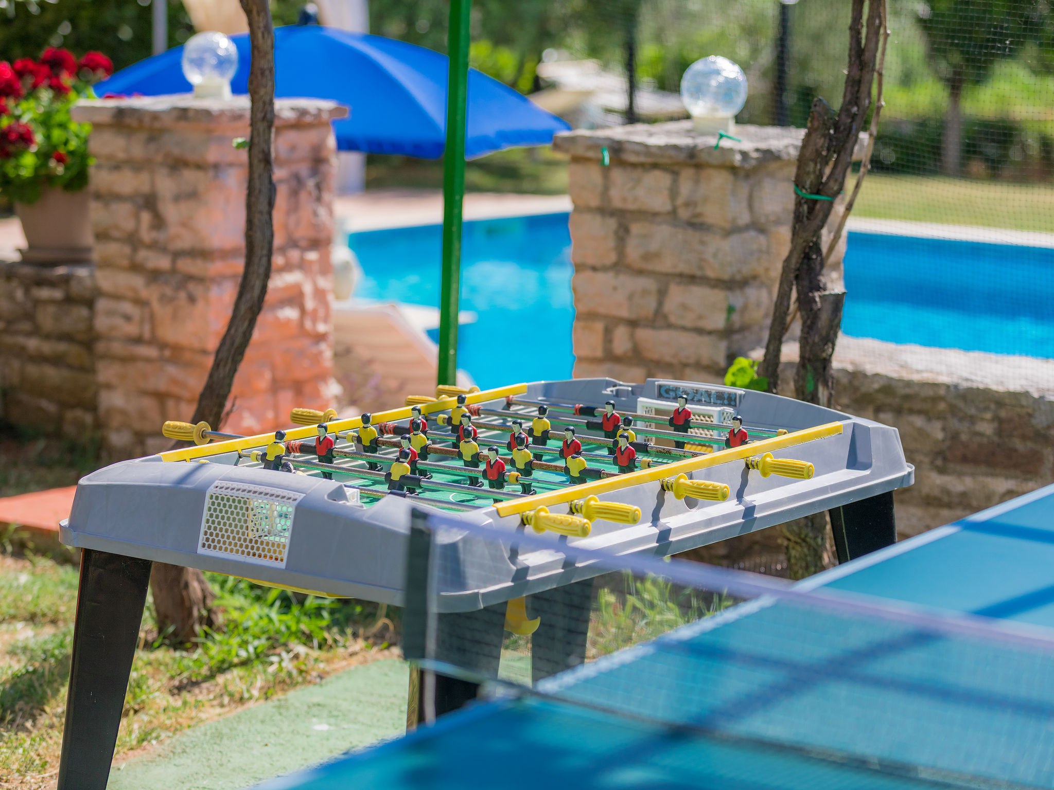 Photo of Ivan & Tina