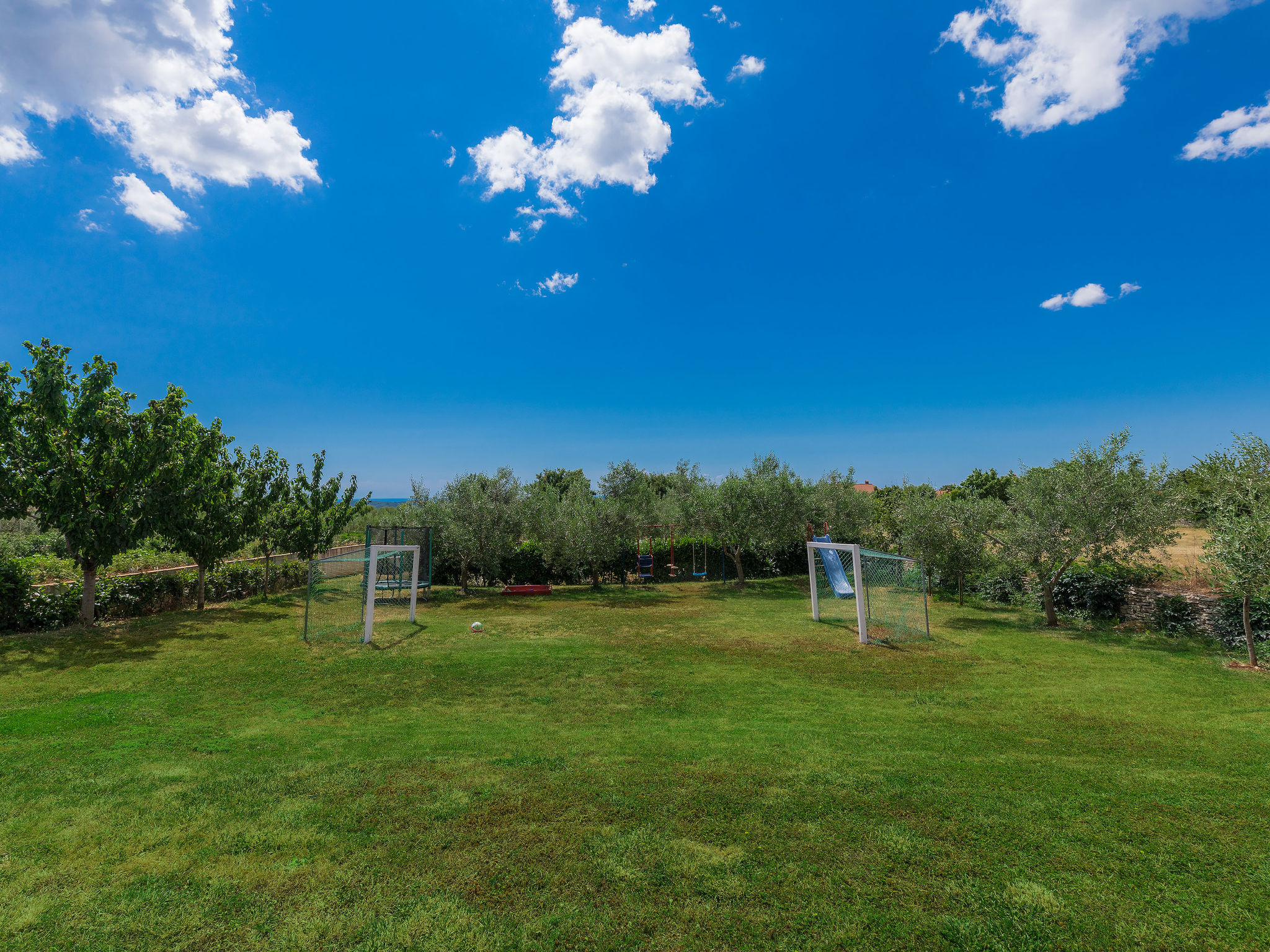 Photo of Ivan & Tina