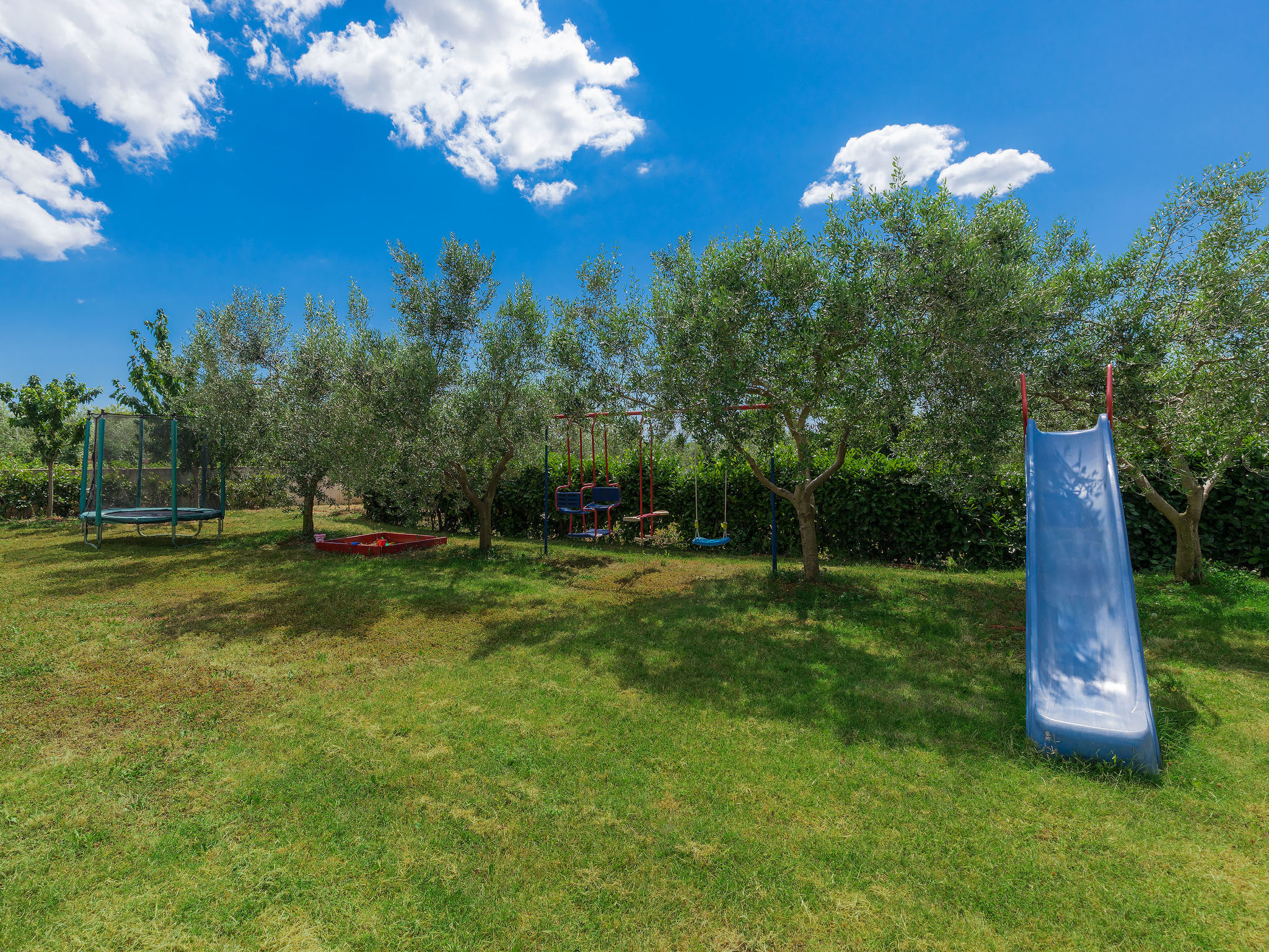 Photo of Ivan & Tina