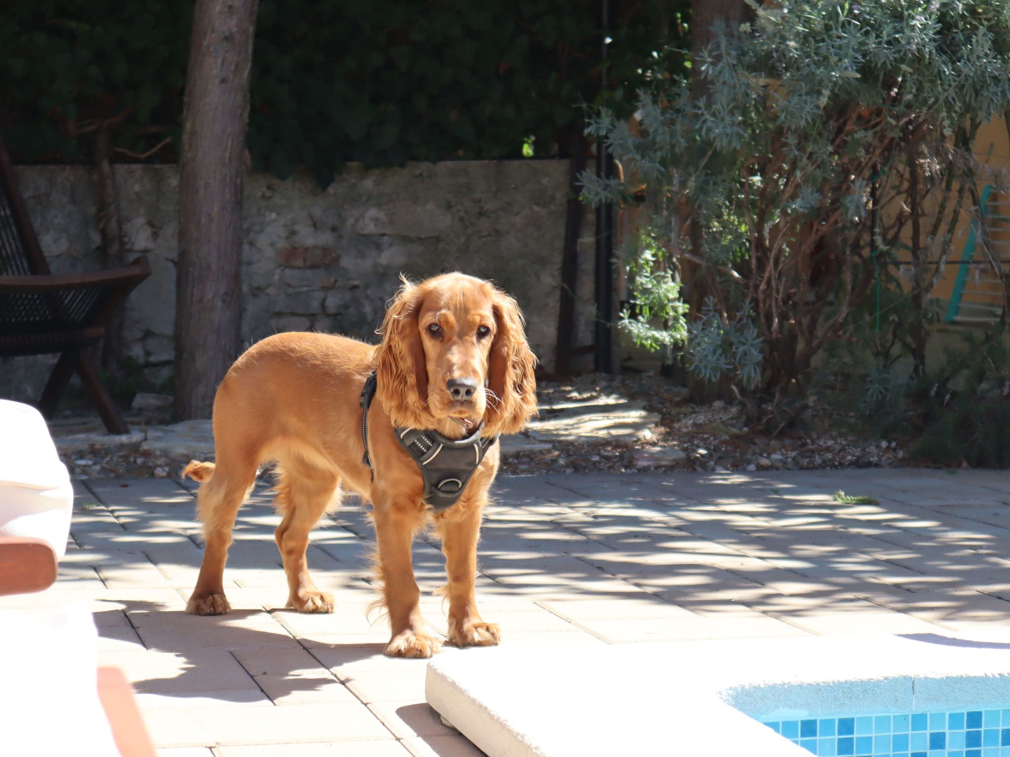 Art House Rovinj-Holiday,  für mehr Information-Image-tags.info