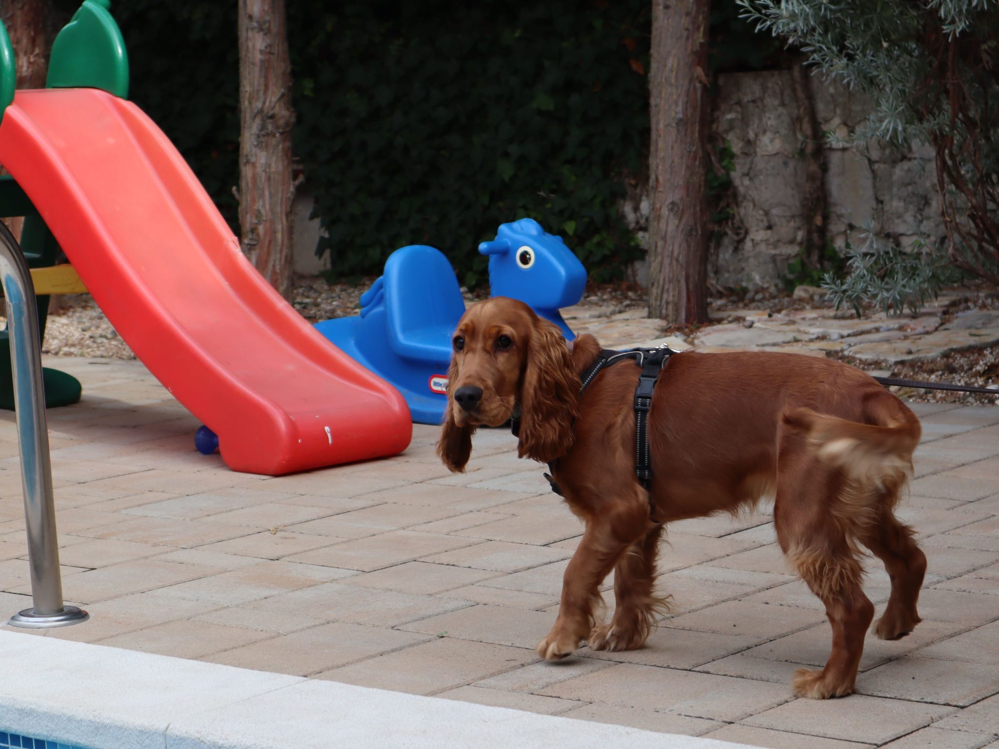 Art House Rovinj-Holiday,  für mehr Information-Image-tags.info