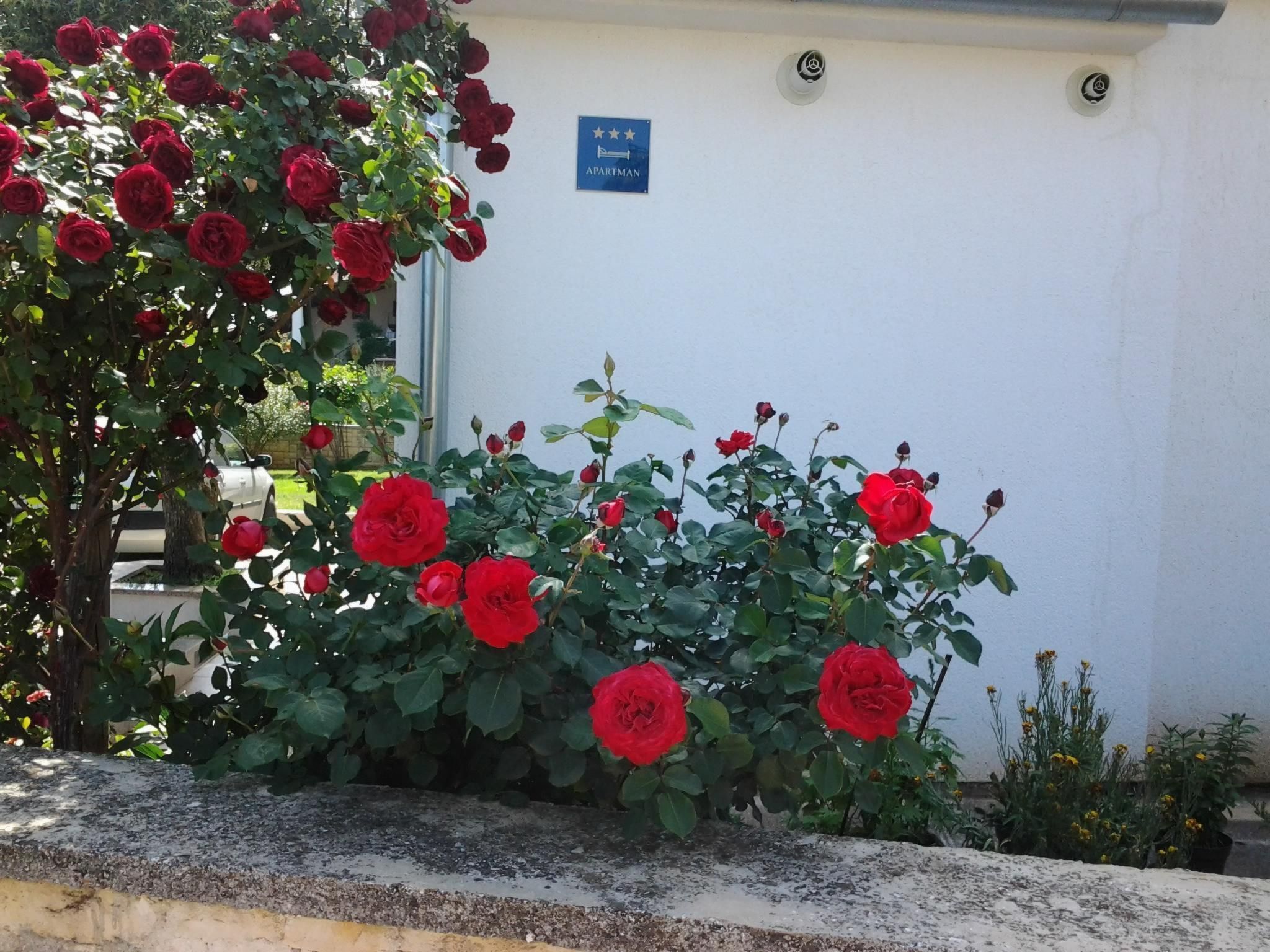 "Gemütlicher Garten" mit Terrasse