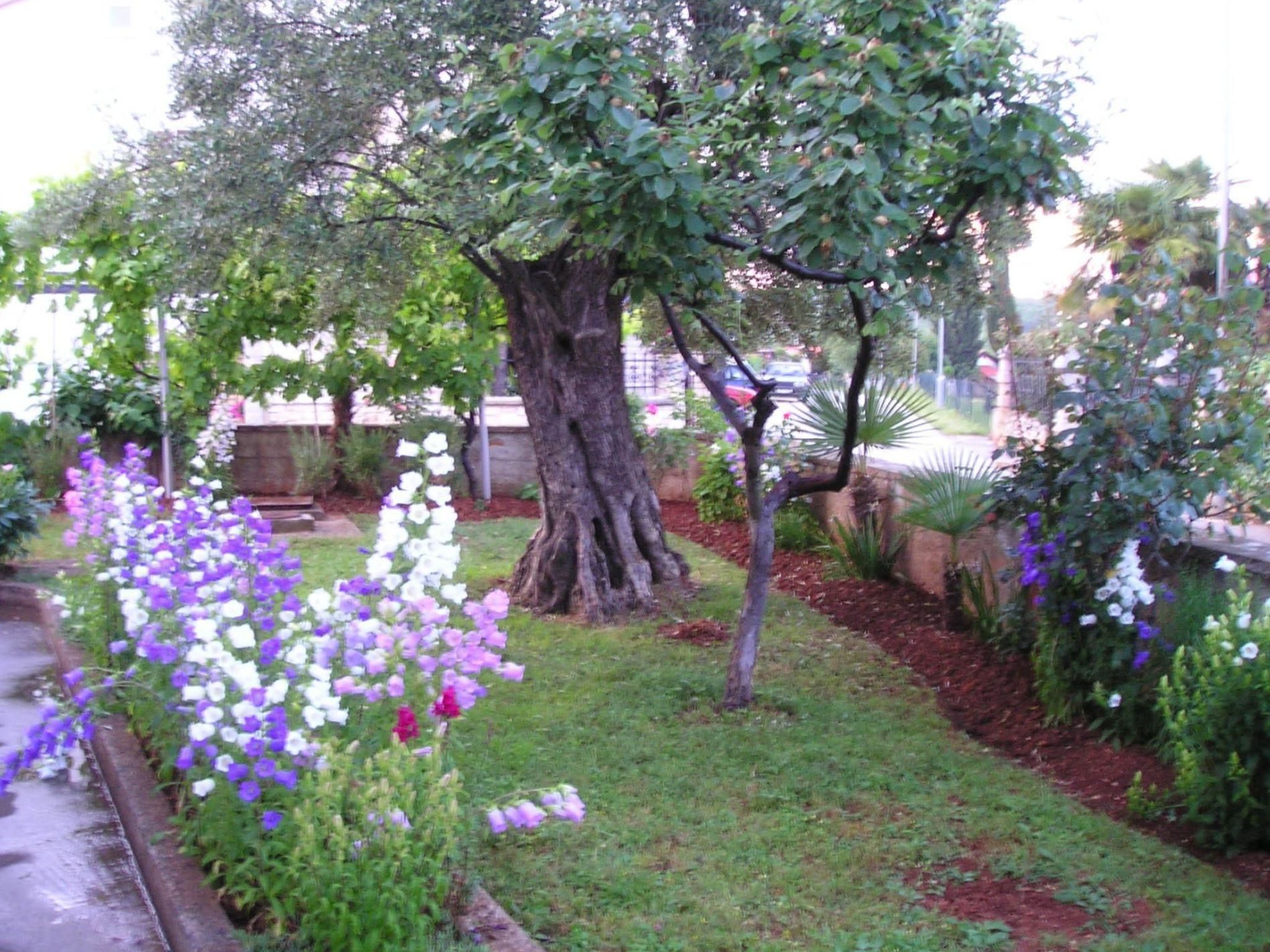Photo of "Gemütlicher Garten" mit Terrasse