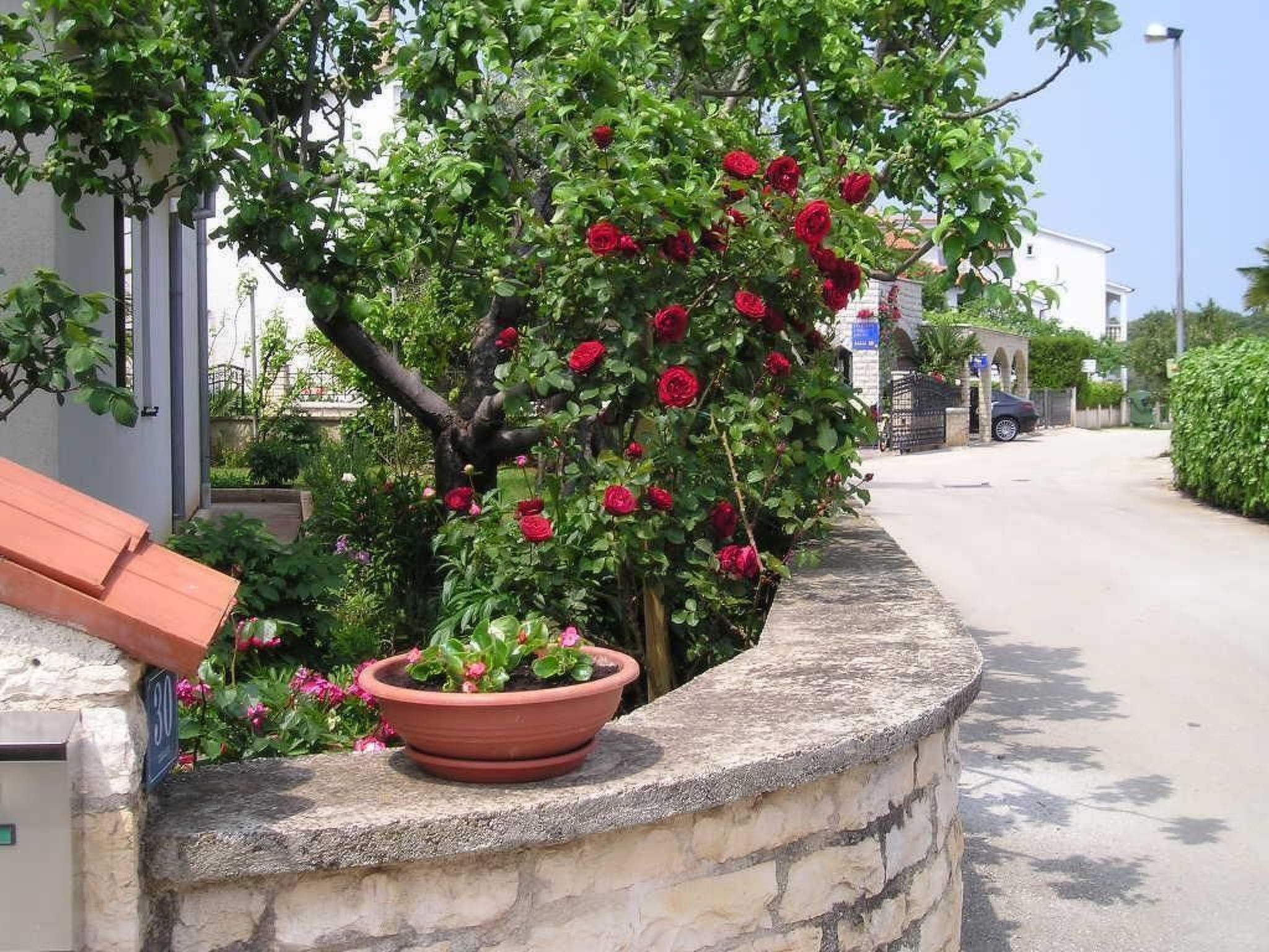 Photo of "Gemütlicher Garten" mit Terrasse