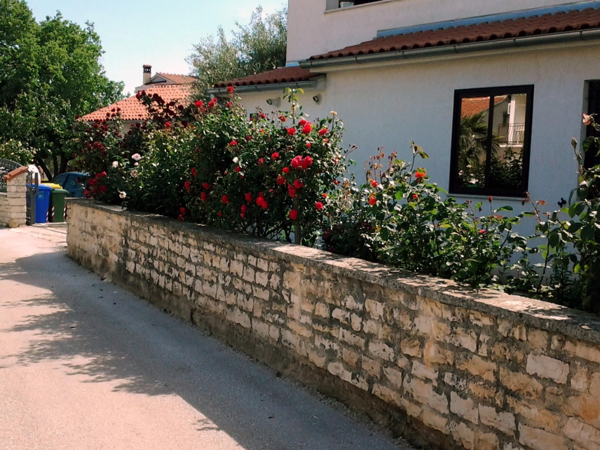 Photo of "Gemütlicher Garten" mit Terrasse