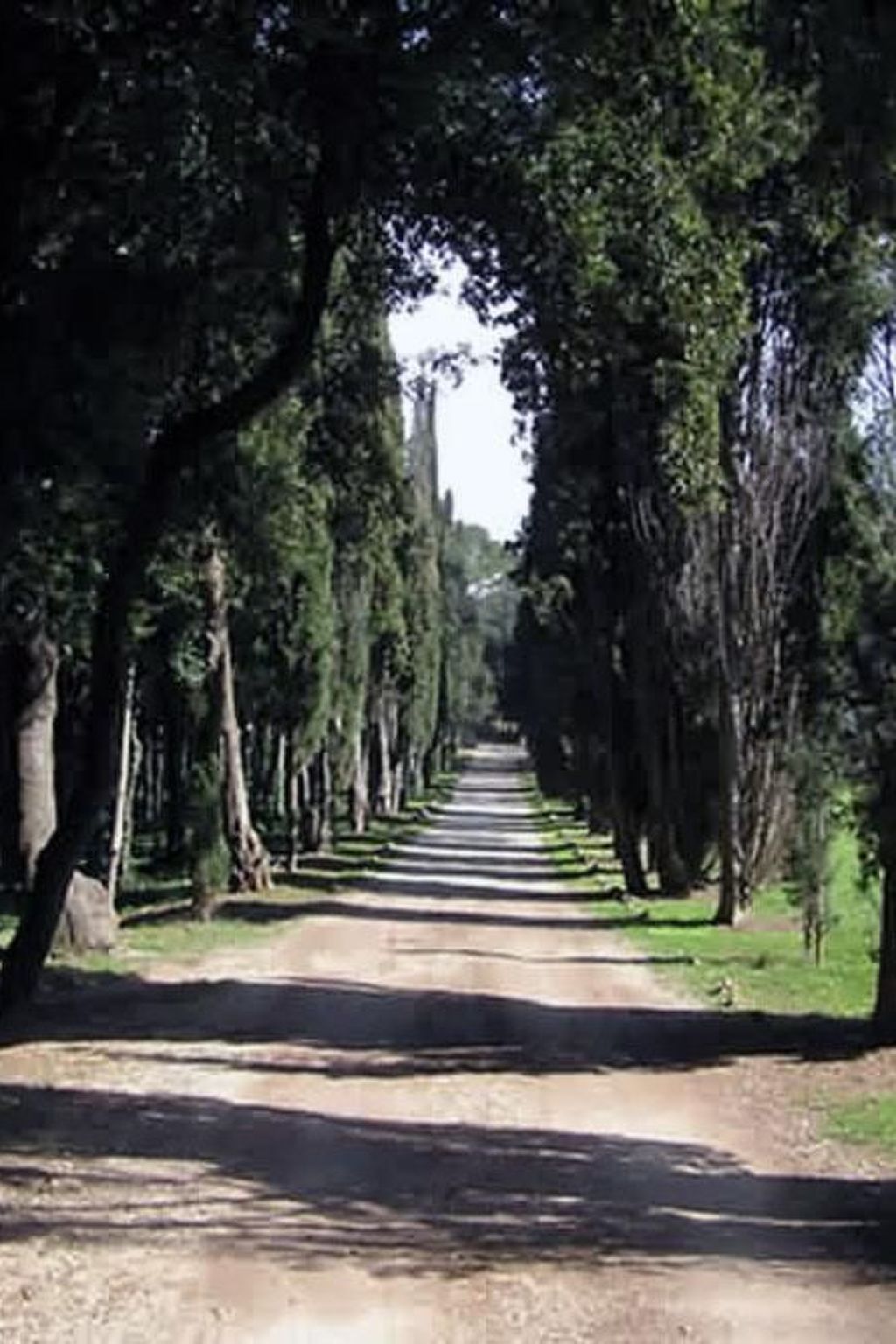 Photo of "Gemütlicher Garten" mit Terrasse