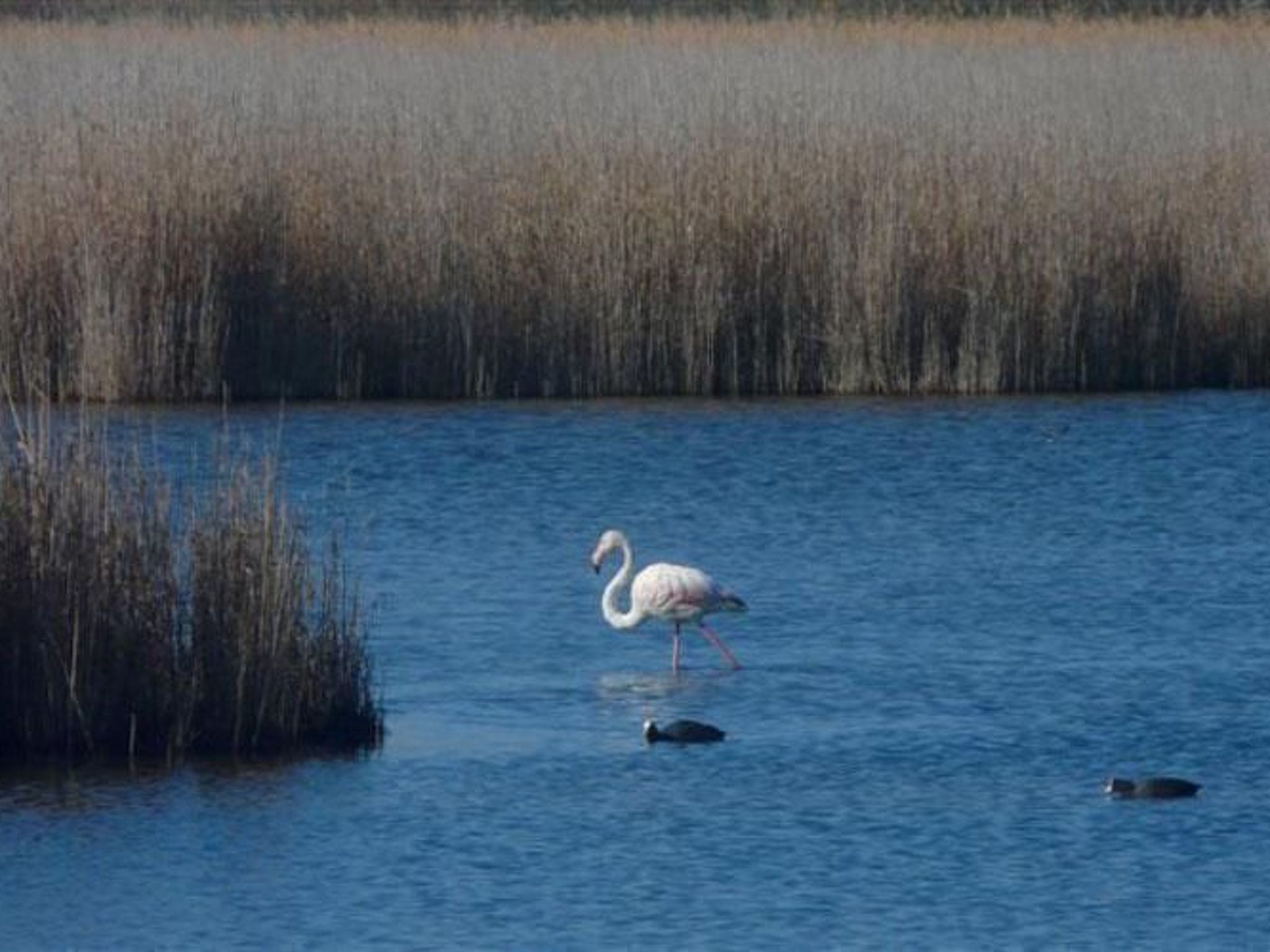Photo of Wohnung mit Balkon