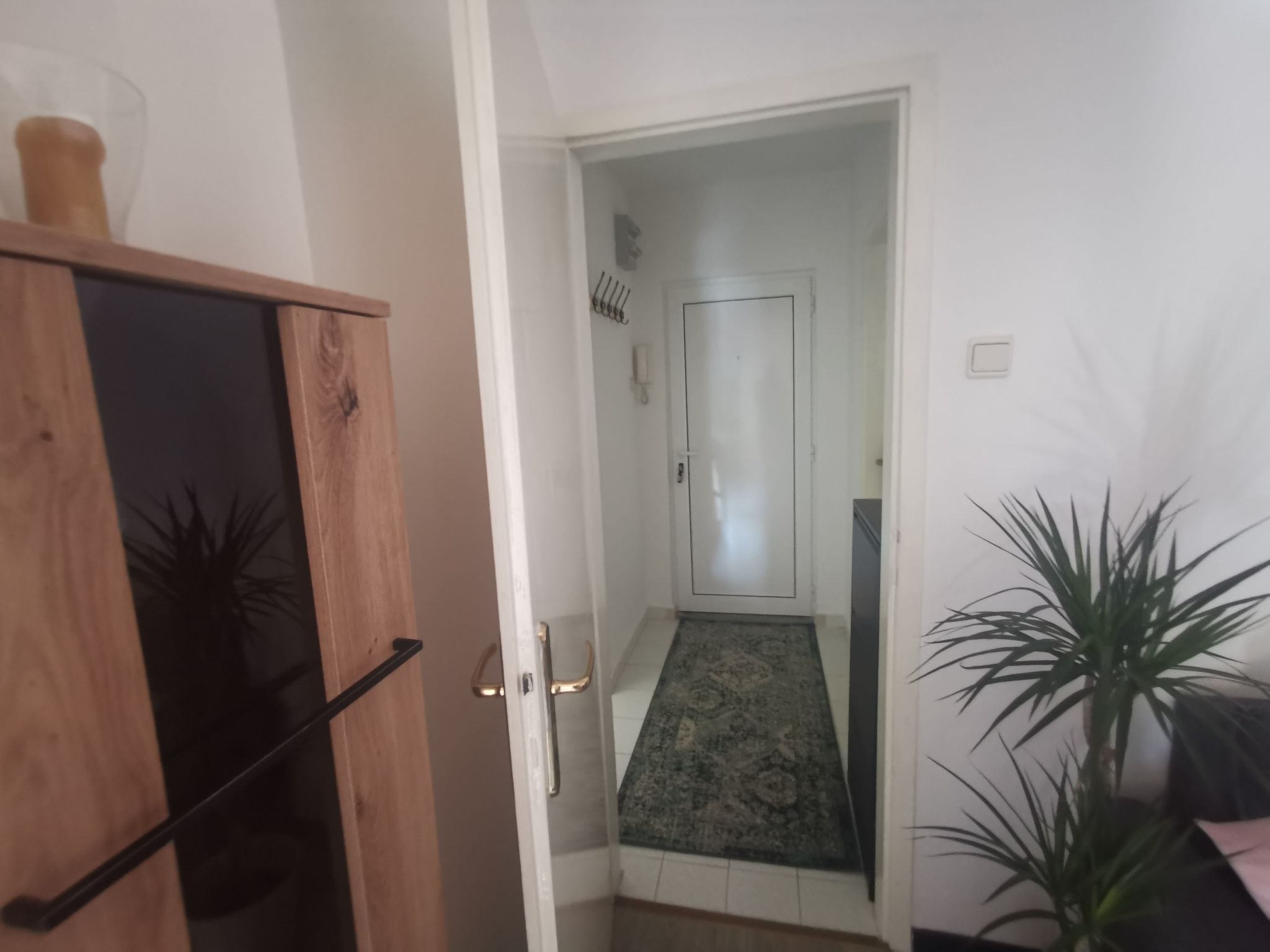 Summer escape Rovinj-Binnen