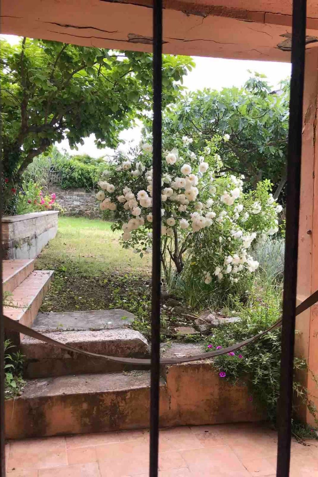 Appartement in Rovinj mit Terrasse und Garten-Buiten