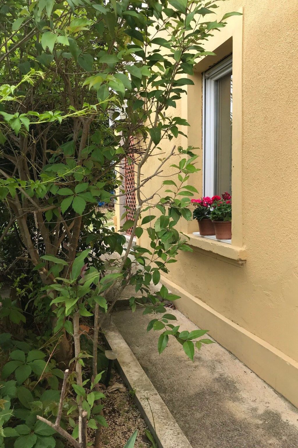 Appartement in Rovinj mit Terrasse und Garten-Buiten